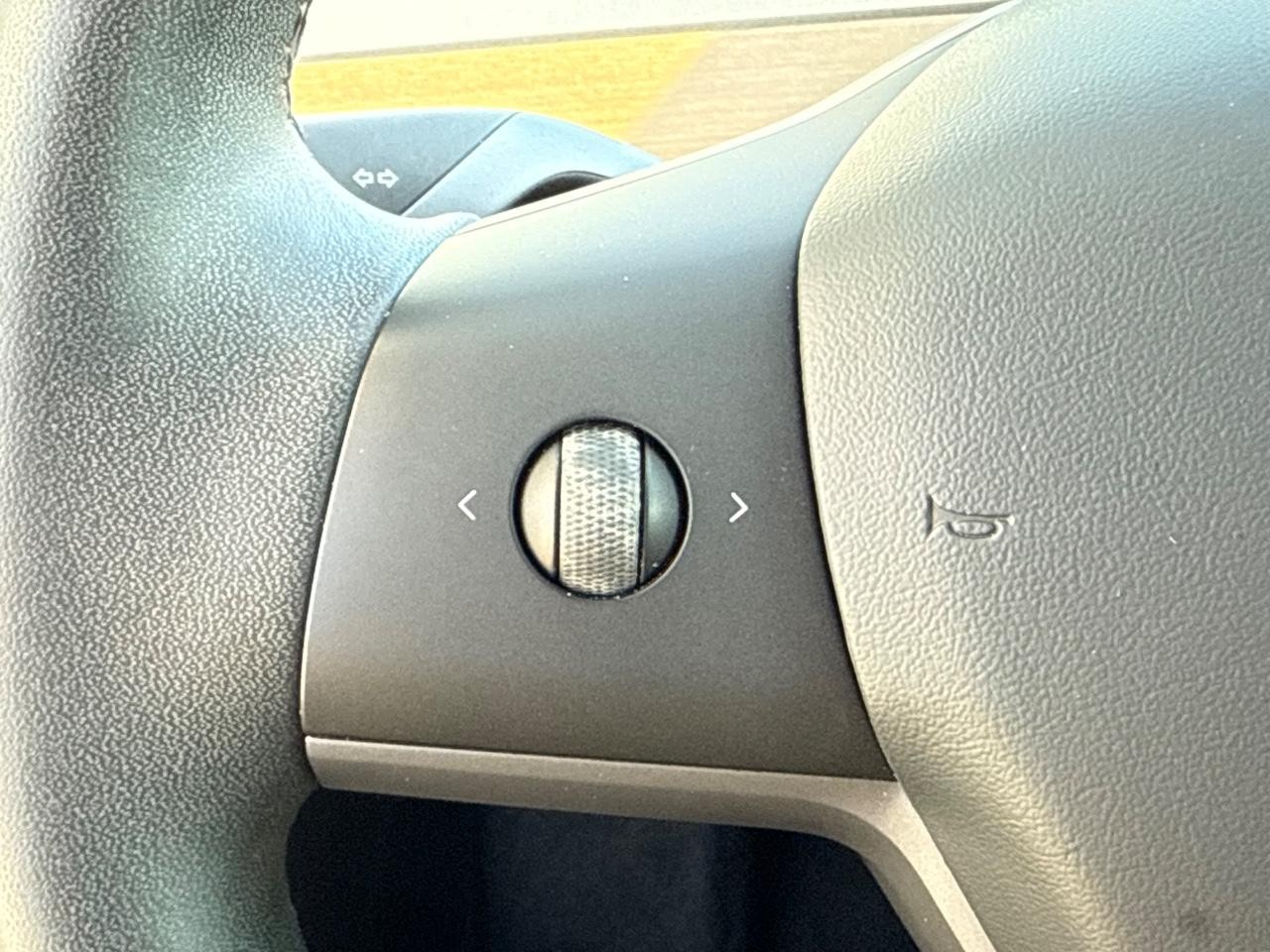 Tesla Model 3 Vehicle Image 15