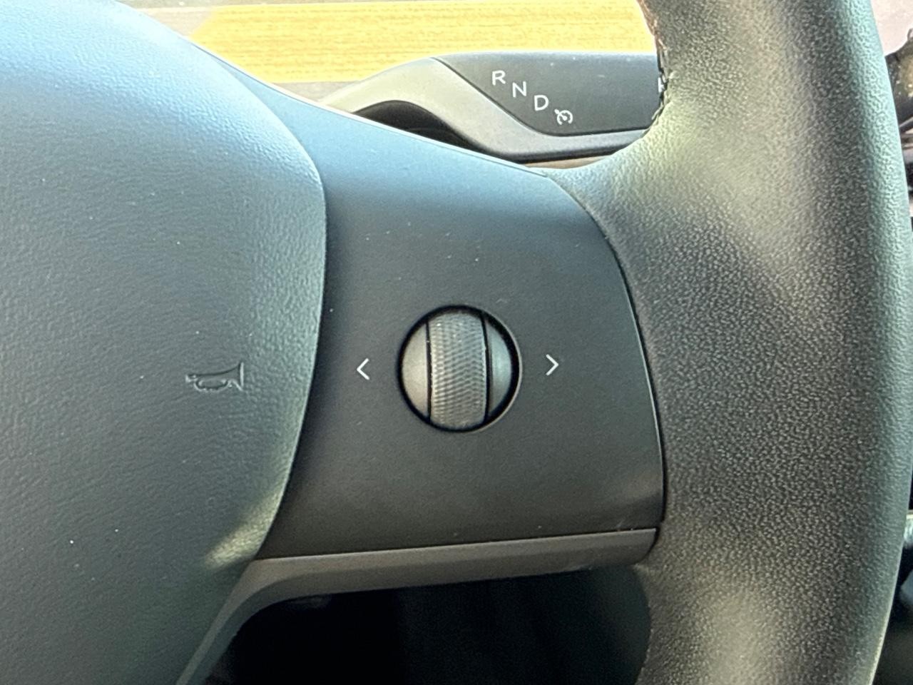 Tesla Model 3 Vehicle Image 16