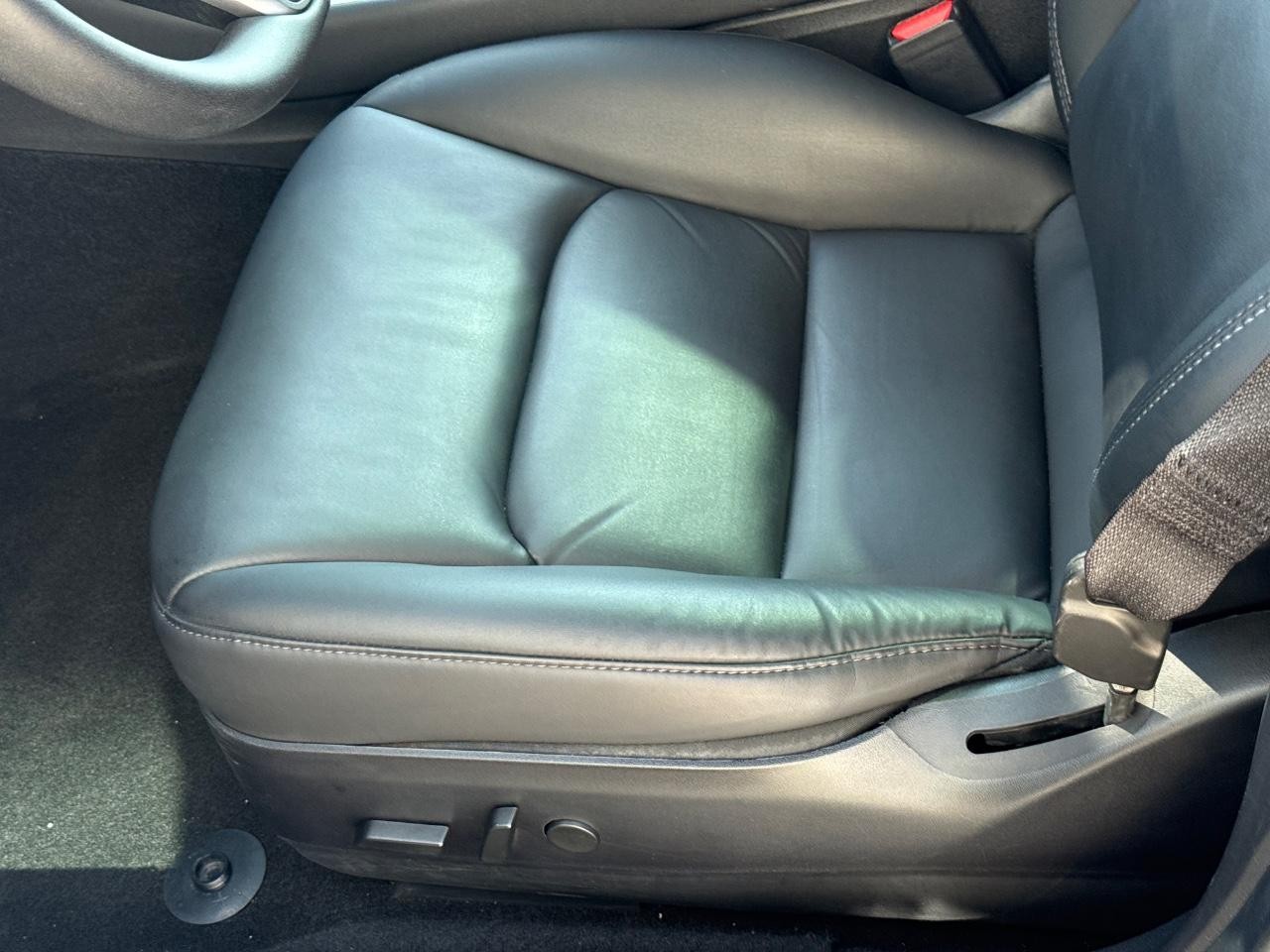 Tesla Model 3 Vehicle Image 21