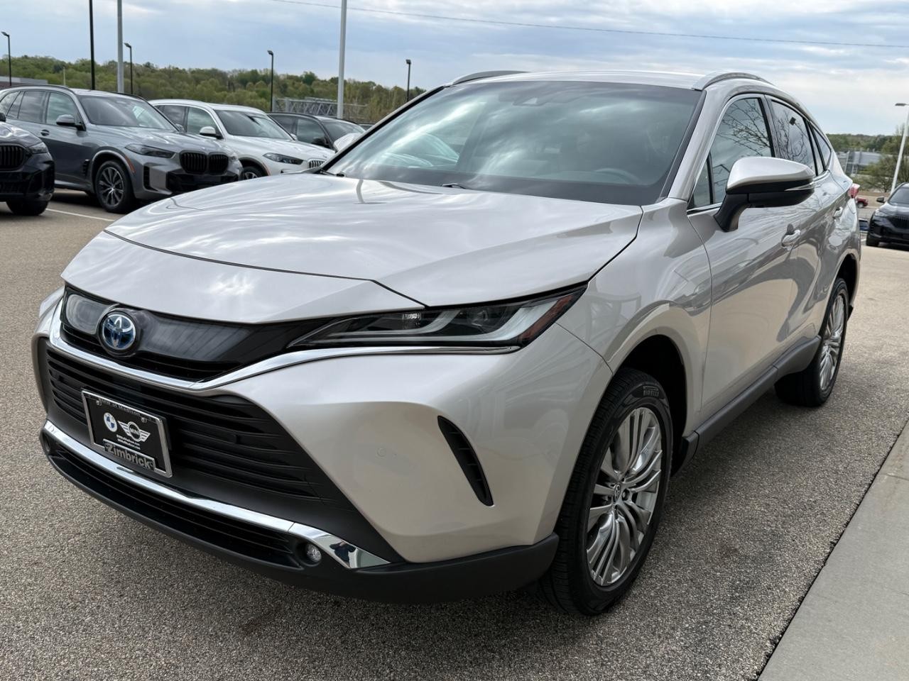 Toyota Venza Vehicle Image 08