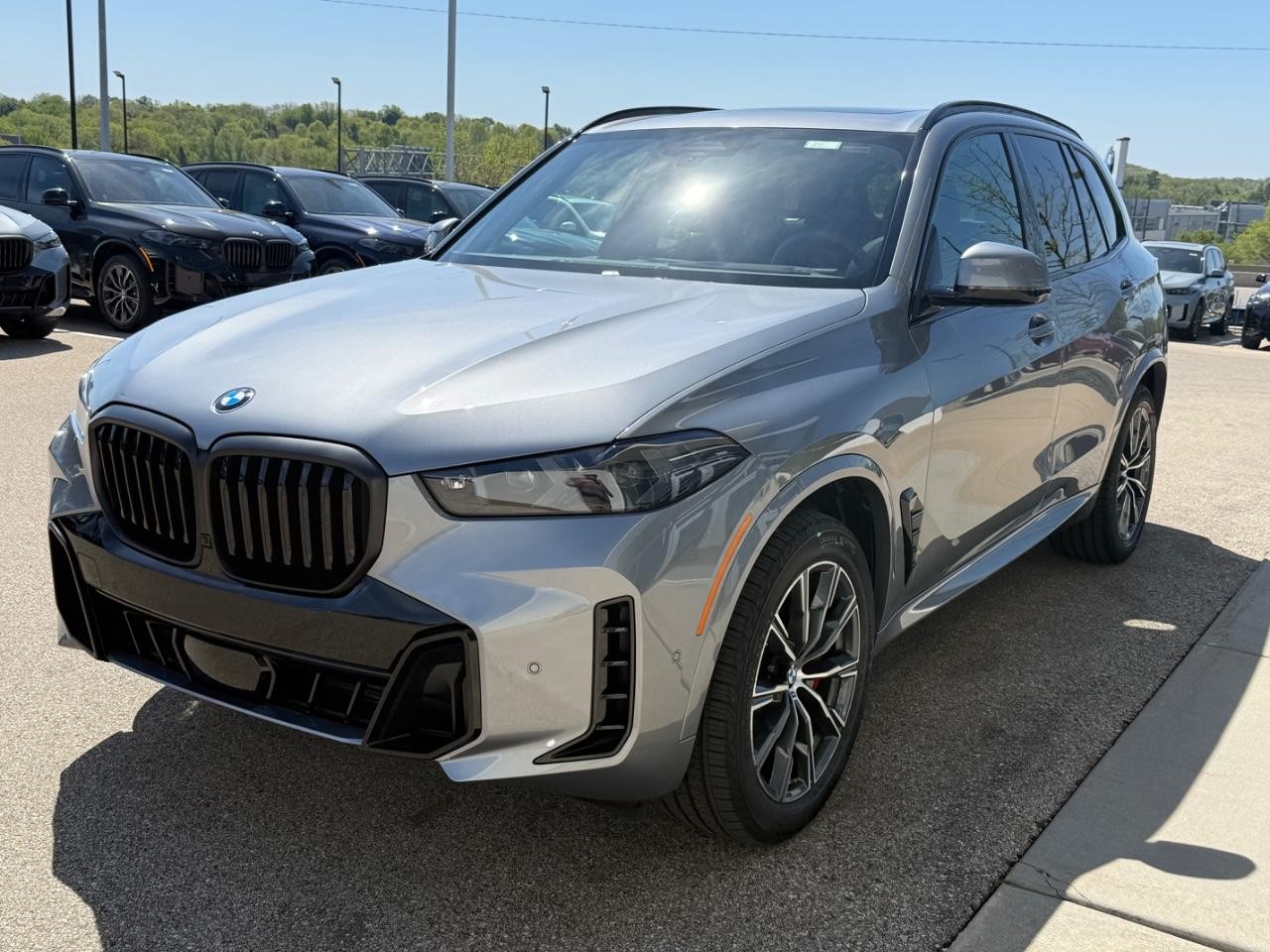 BMW X5 Vehicle Image 08