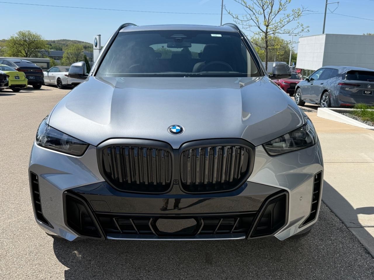 BMW X5 Vehicle Image 09
