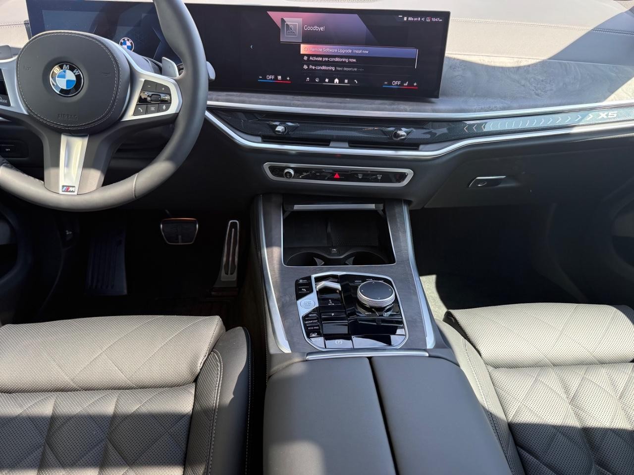 BMW X5 Vehicle Image 11