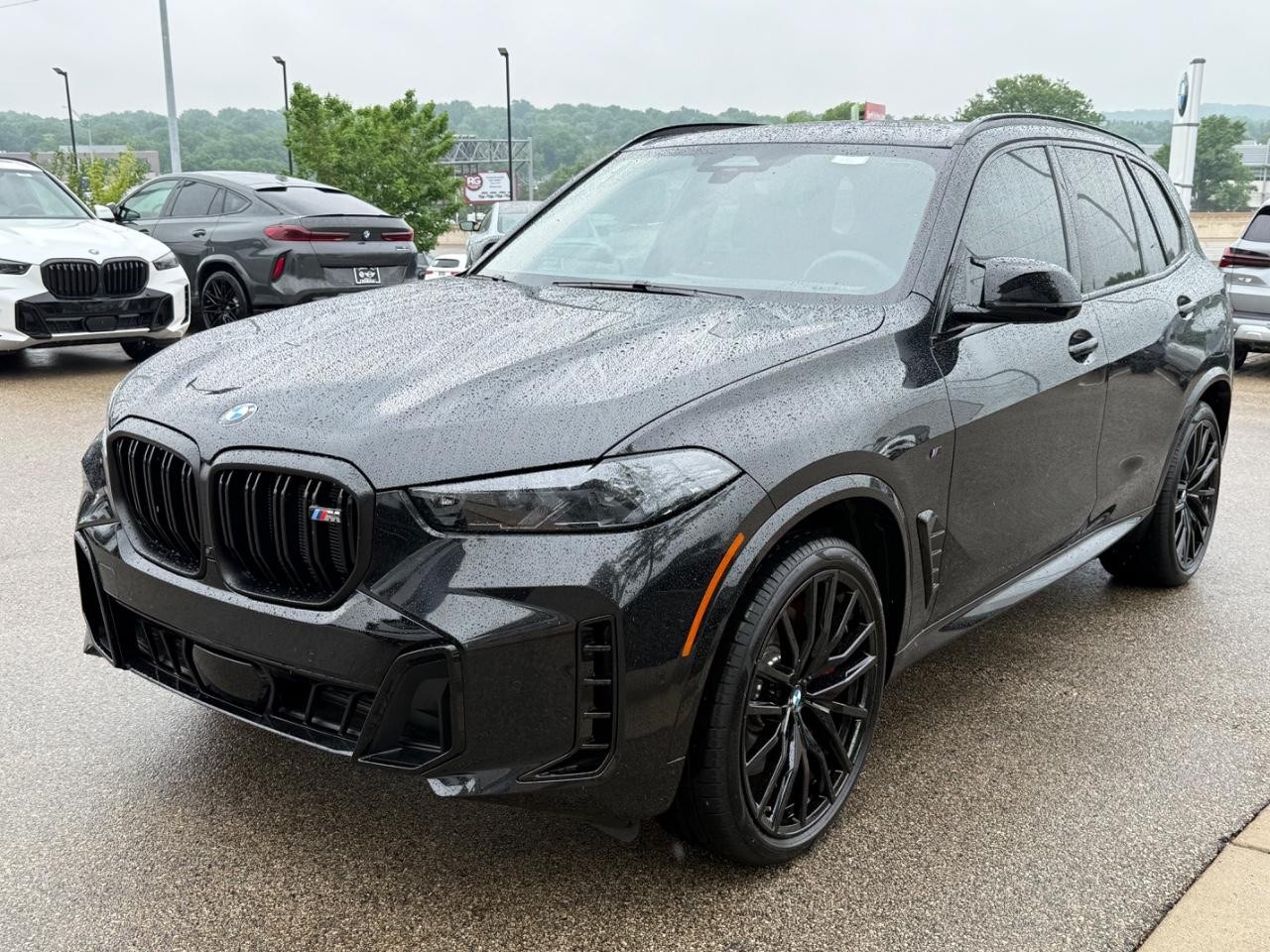 BMW X5 Vehicle Image 08