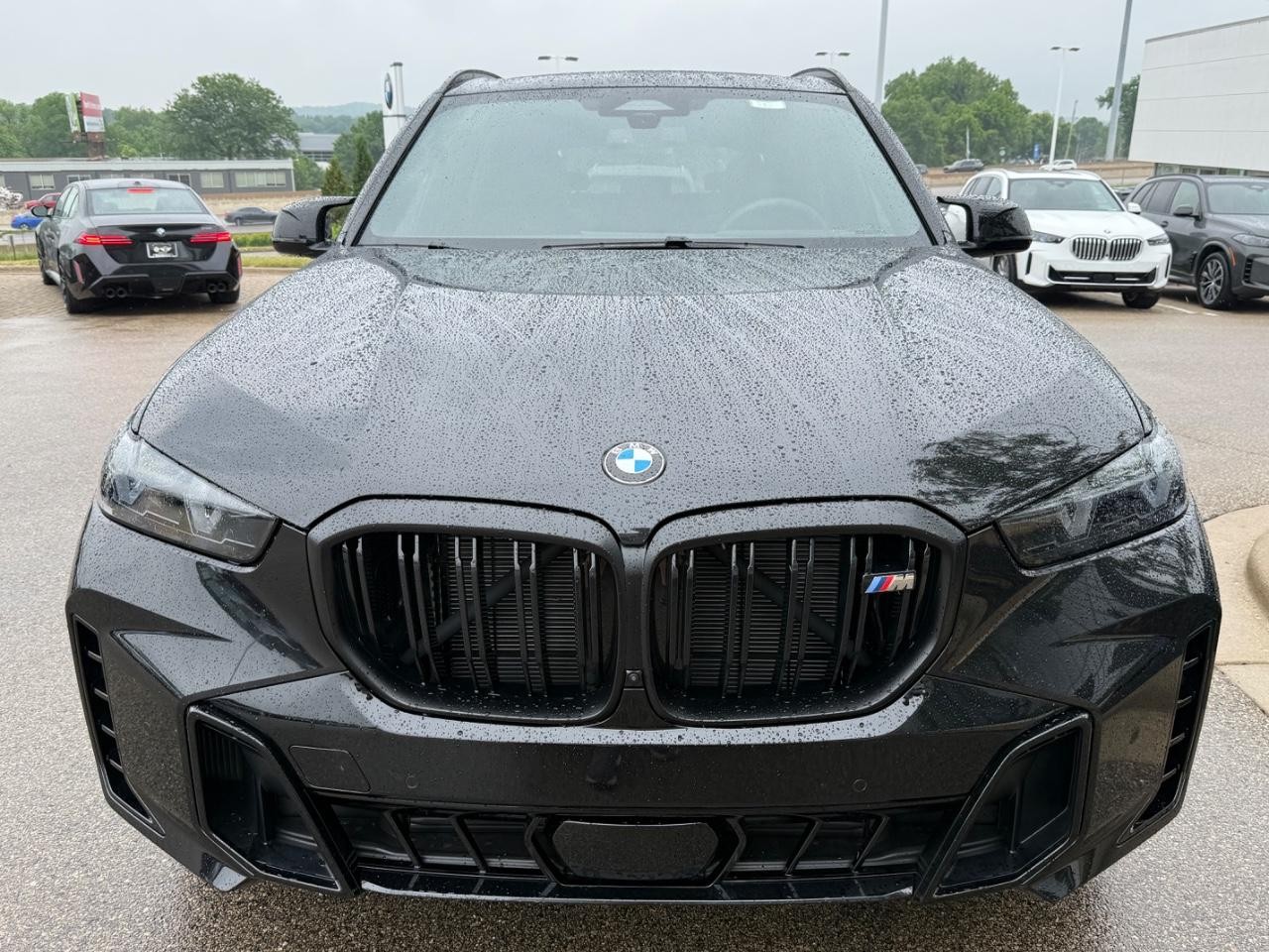 BMW X5 Vehicle Image 09