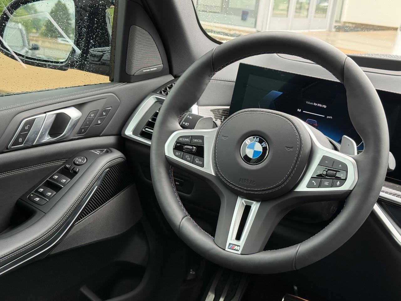 BMW X5 Vehicle Image 14