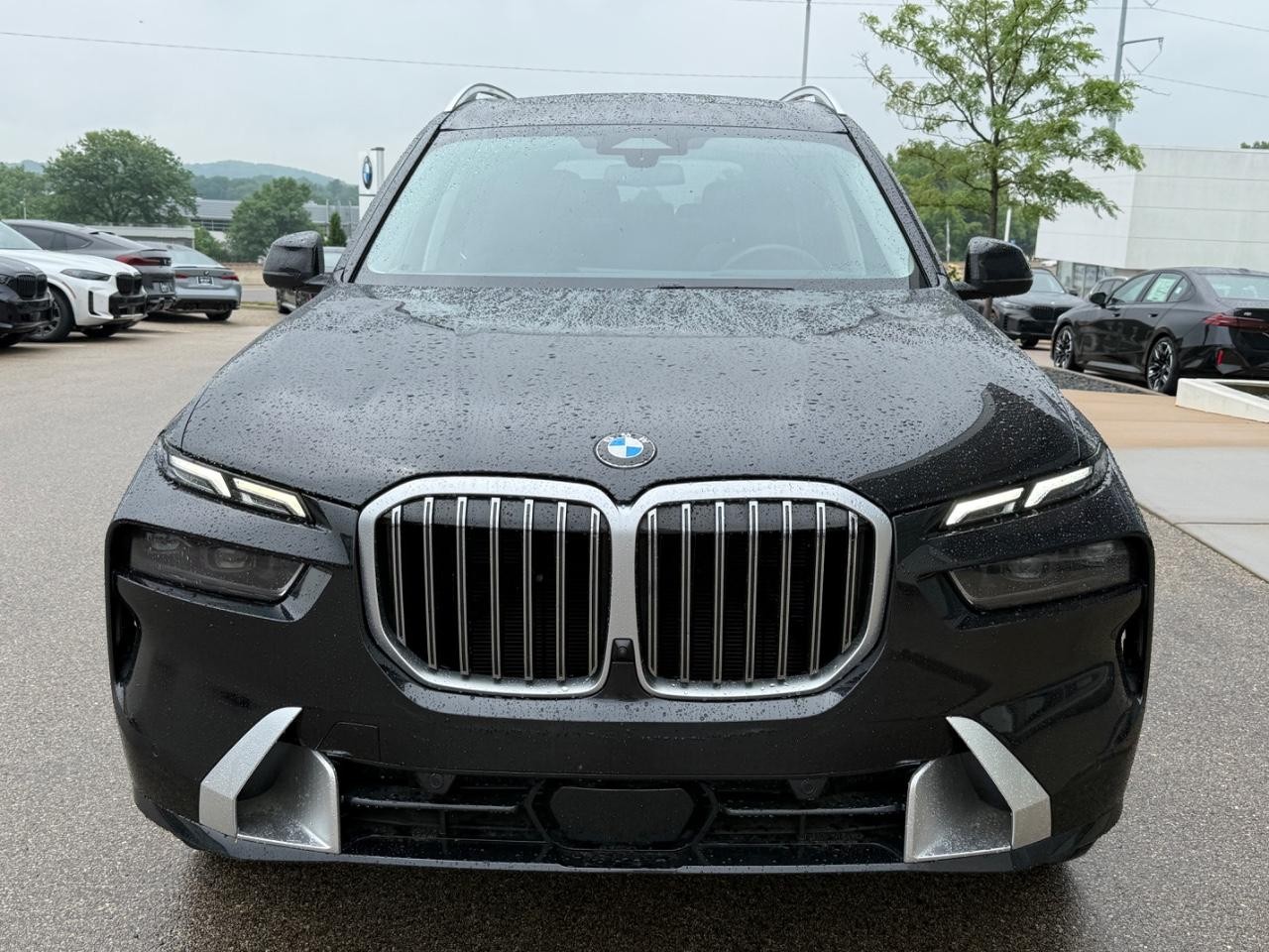 BMW X7 Vehicle Image 09