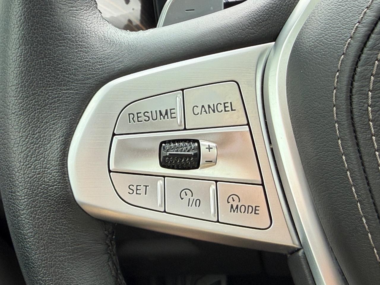 BMW X7 Vehicle Image 18