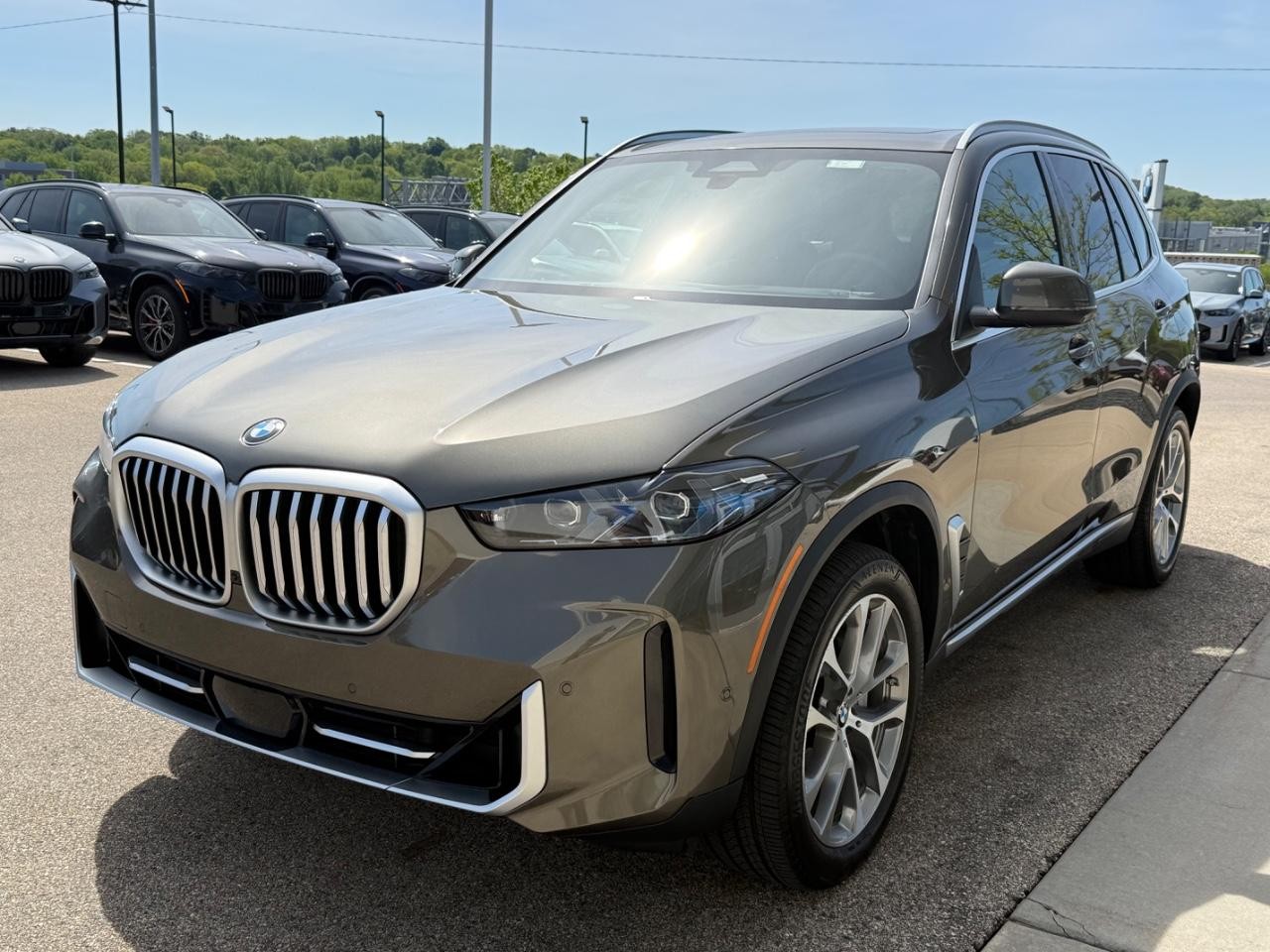BMW X5 Vehicle Image 08
