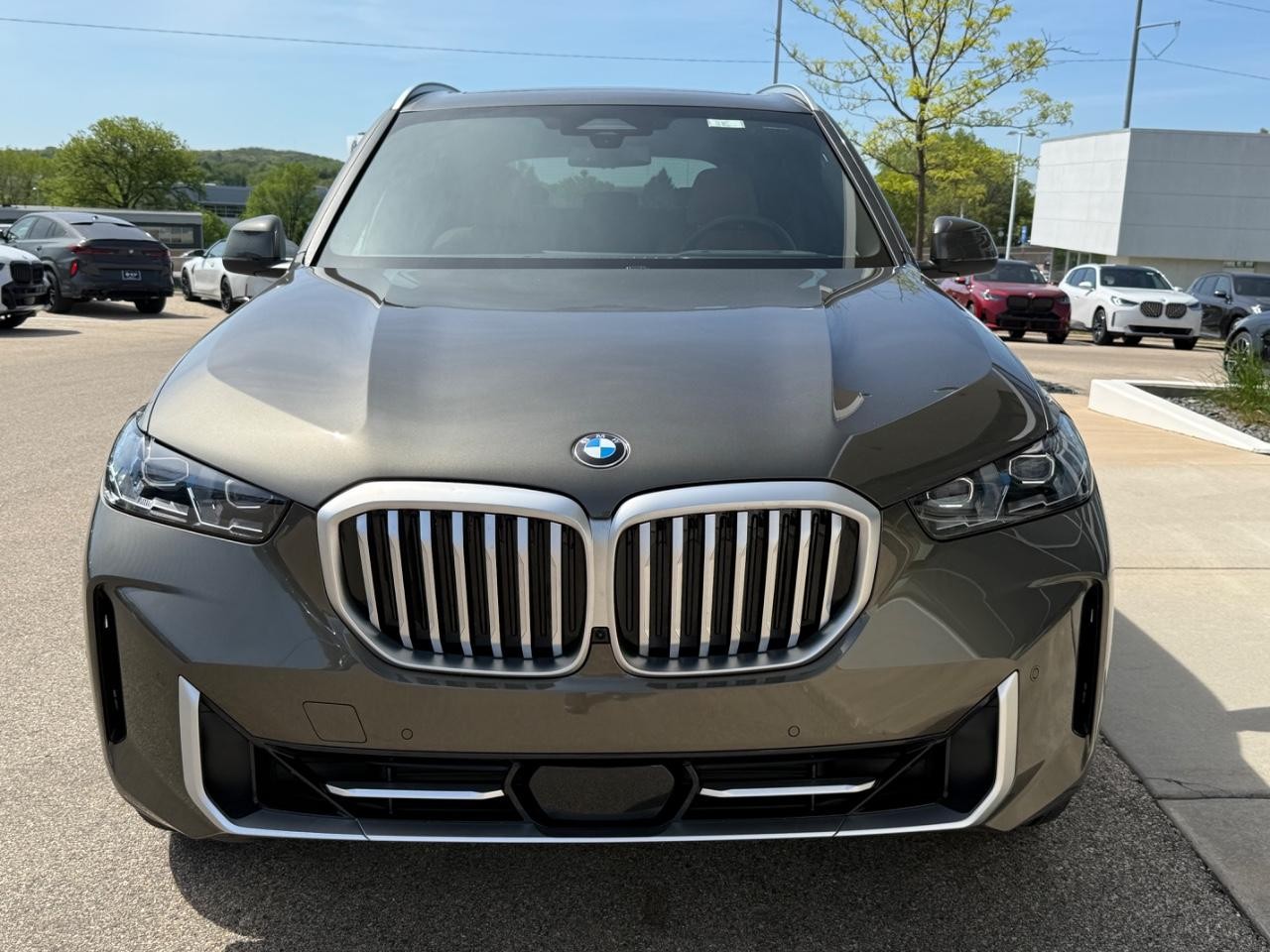 BMW X5 Vehicle Image 09