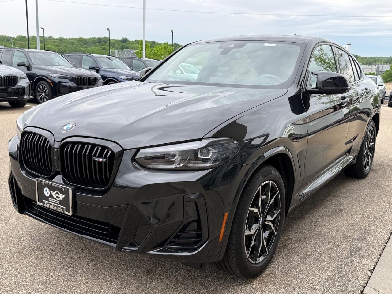 BMW X4 Vehicle Image 08