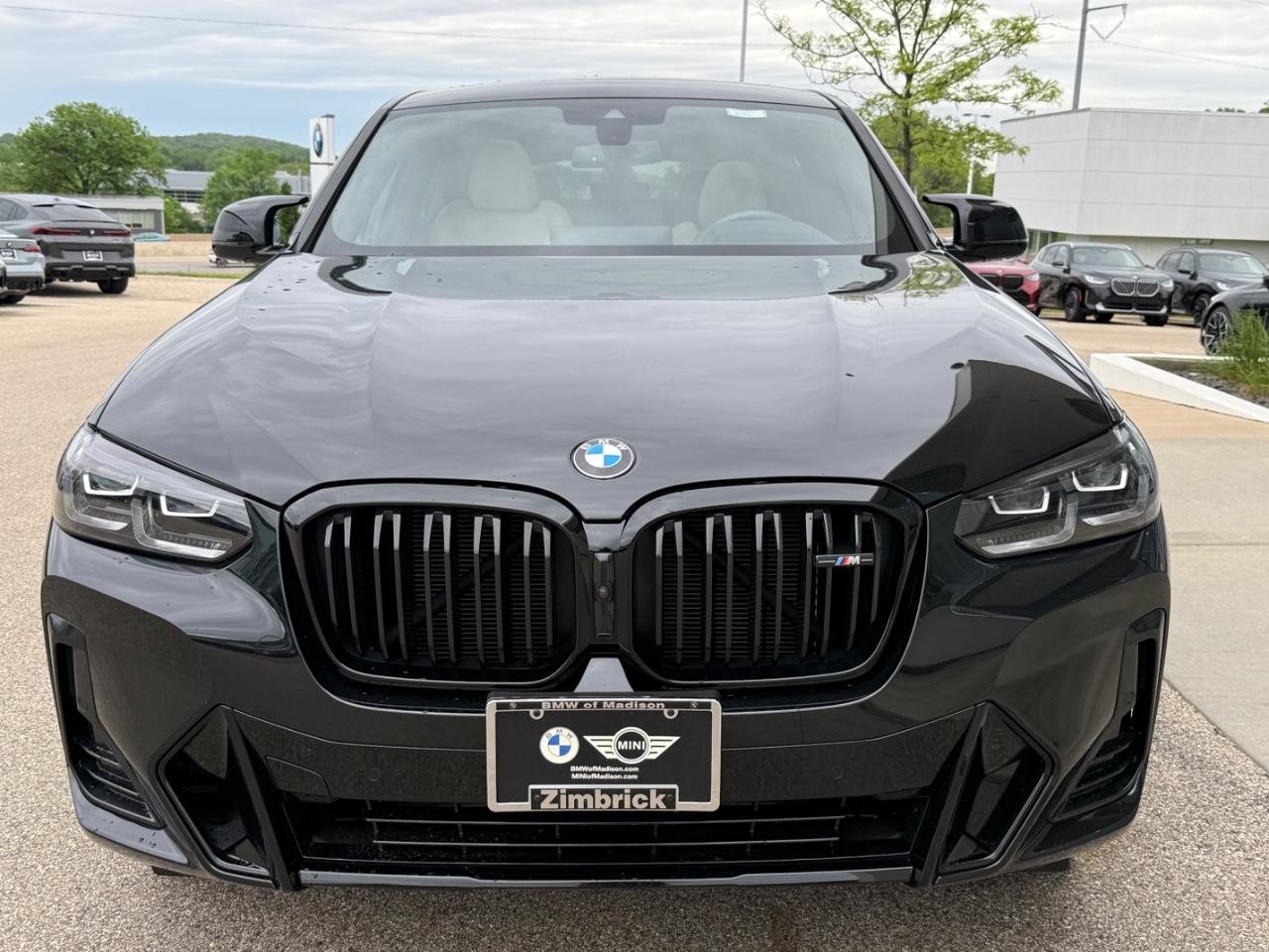 BMW X4 Vehicle Image 09