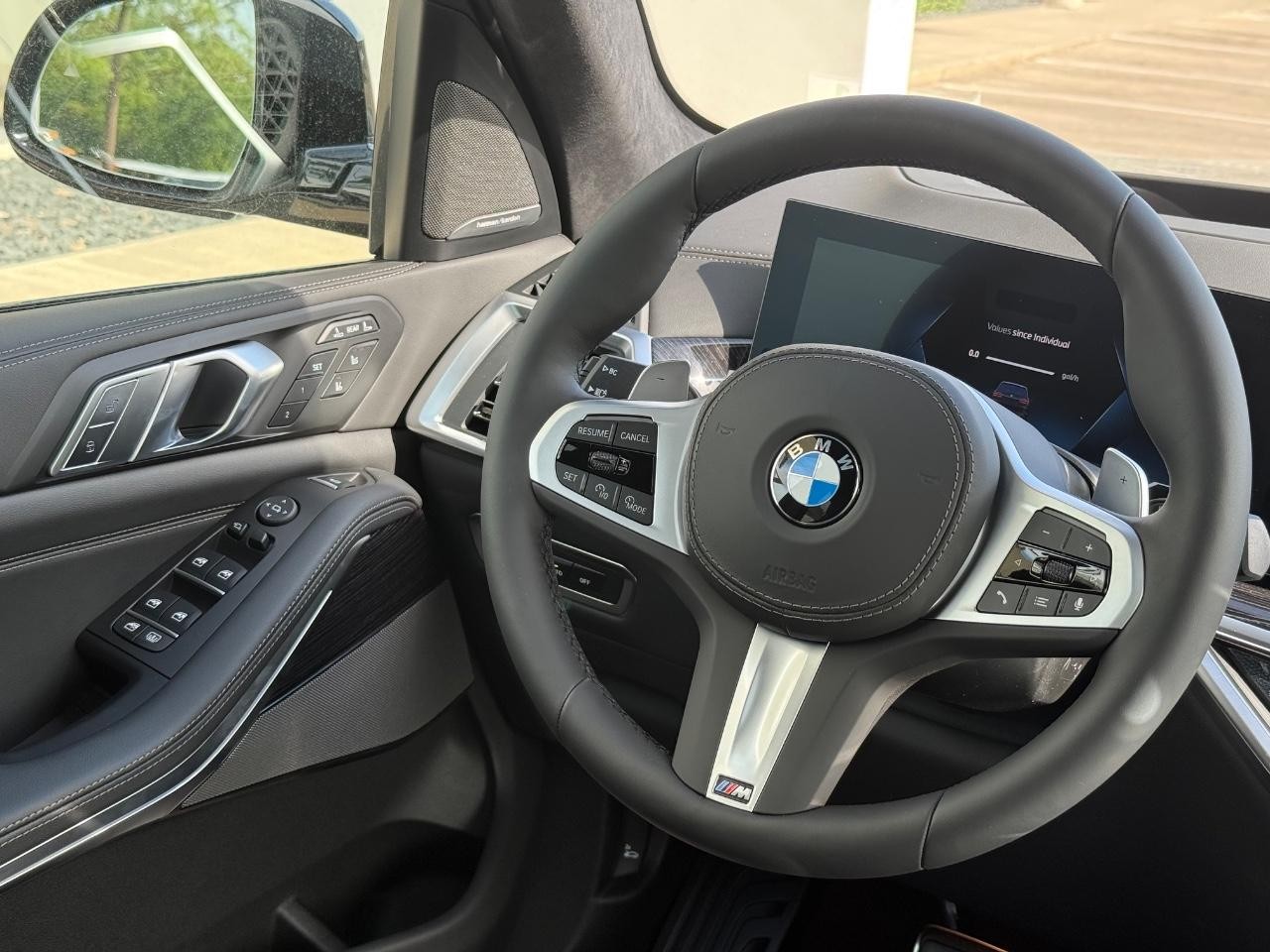 BMW X7 Vehicle Image 10