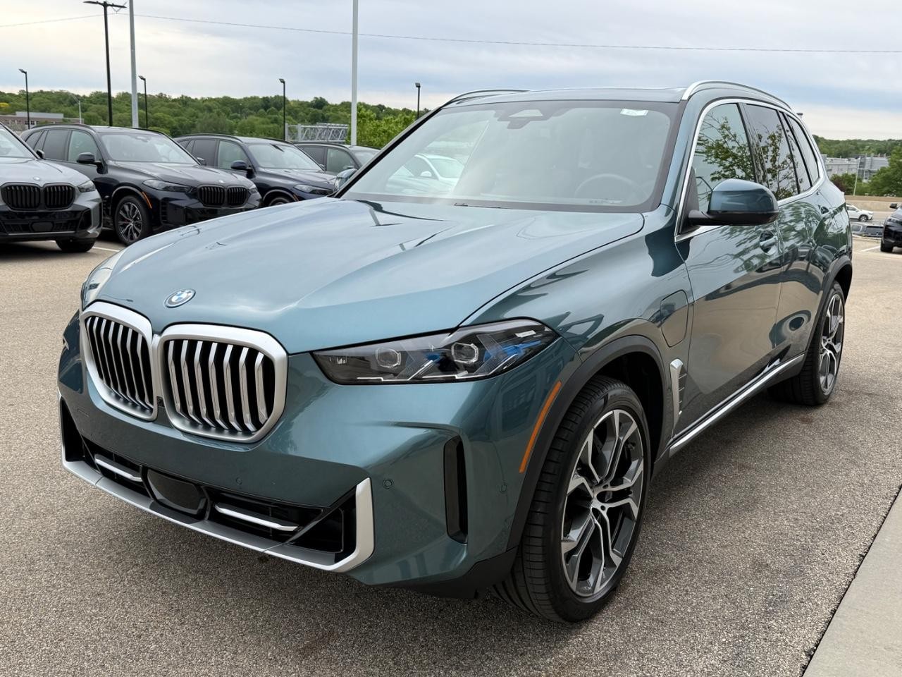 BMW X5 Vehicle Image 08