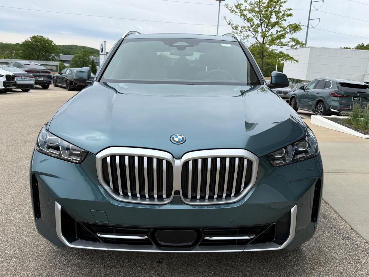 BMW X5 Vehicle Image 09