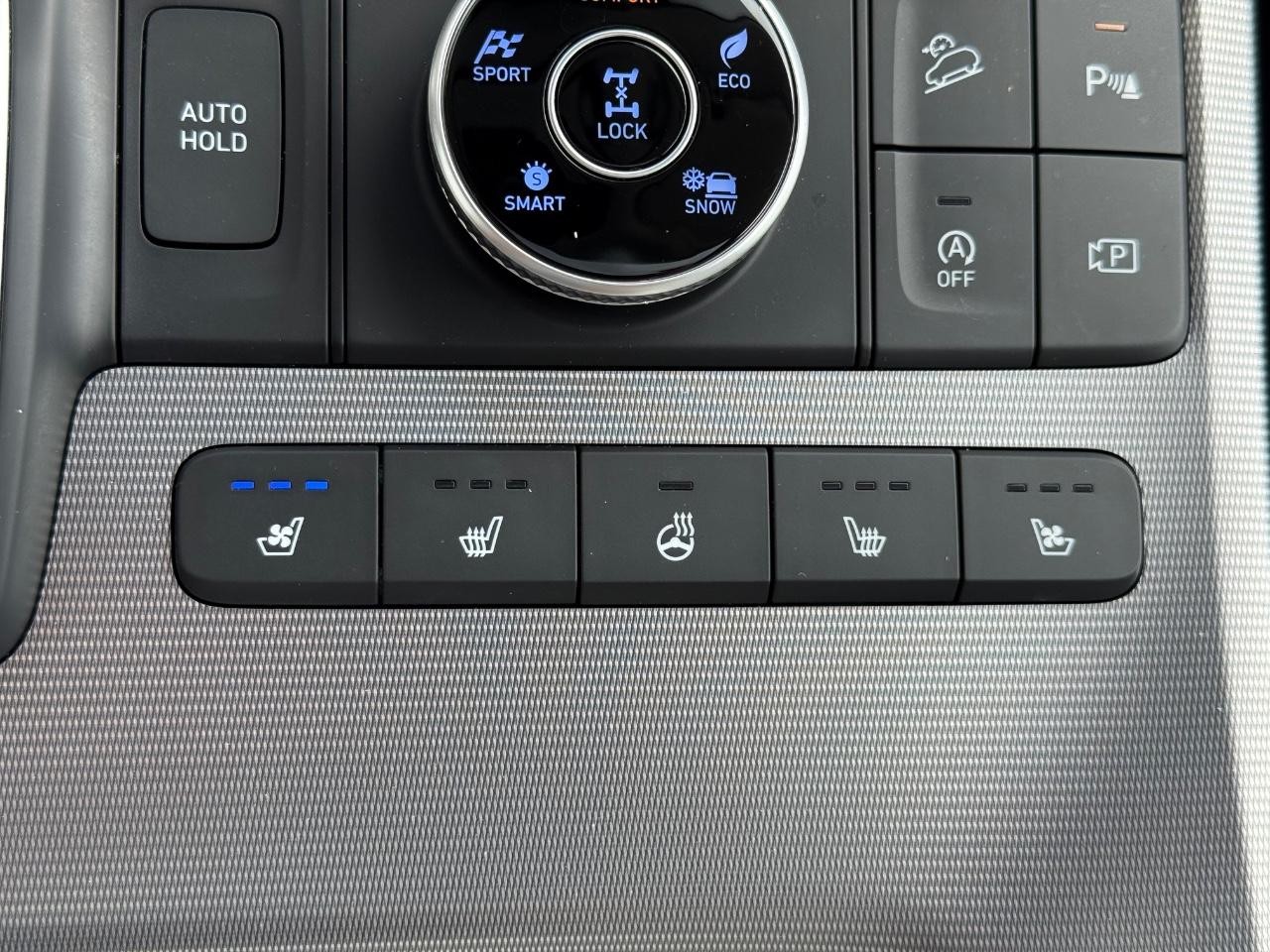 Hyundai Palisade Vehicle Image 21