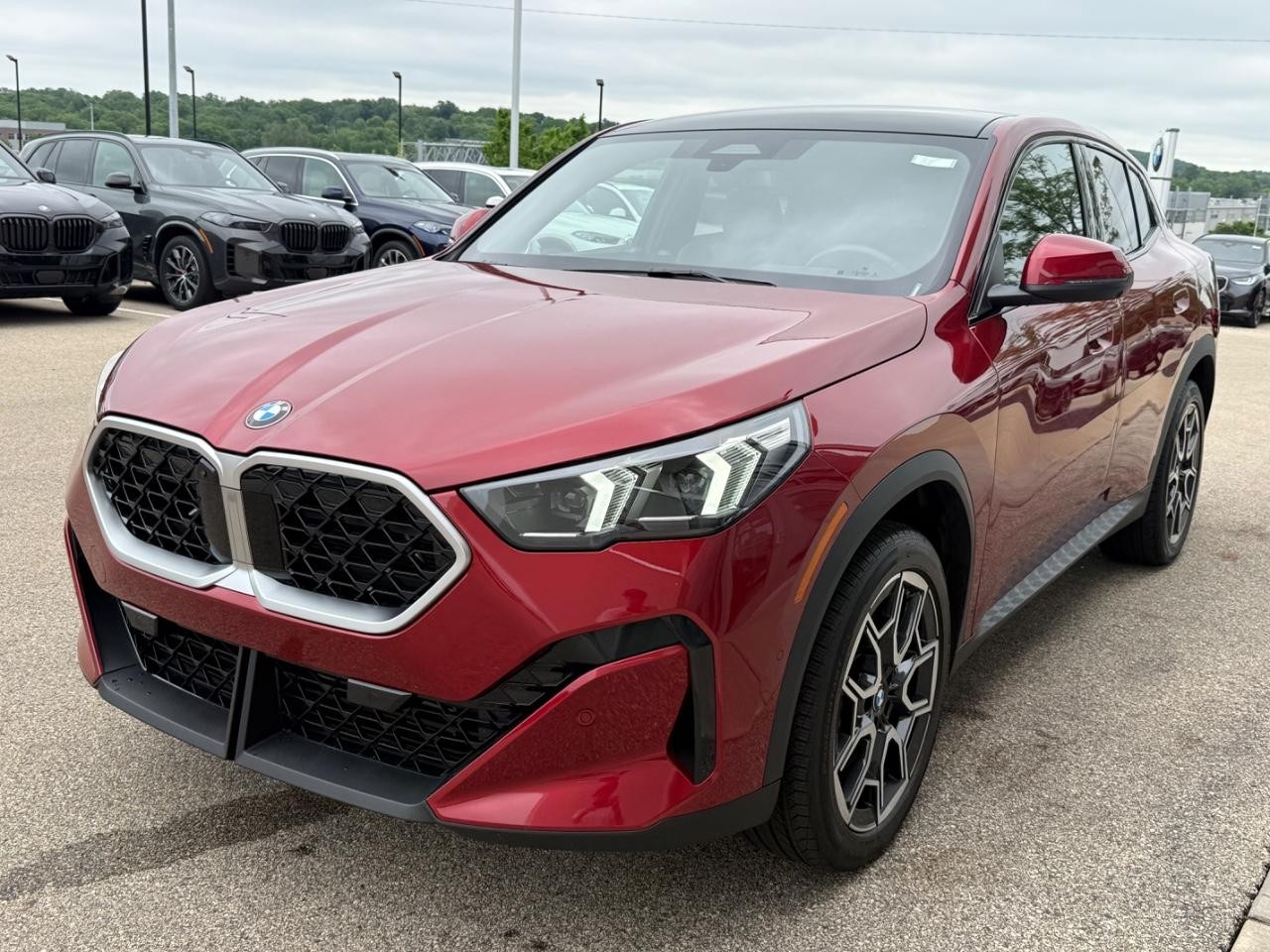 BMW X2 Vehicle Image 08