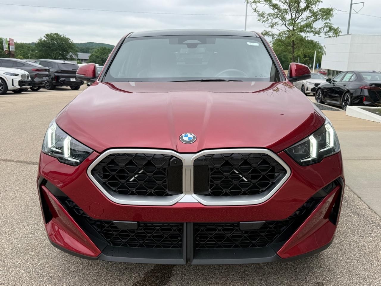 BMW X2 Vehicle Image 09