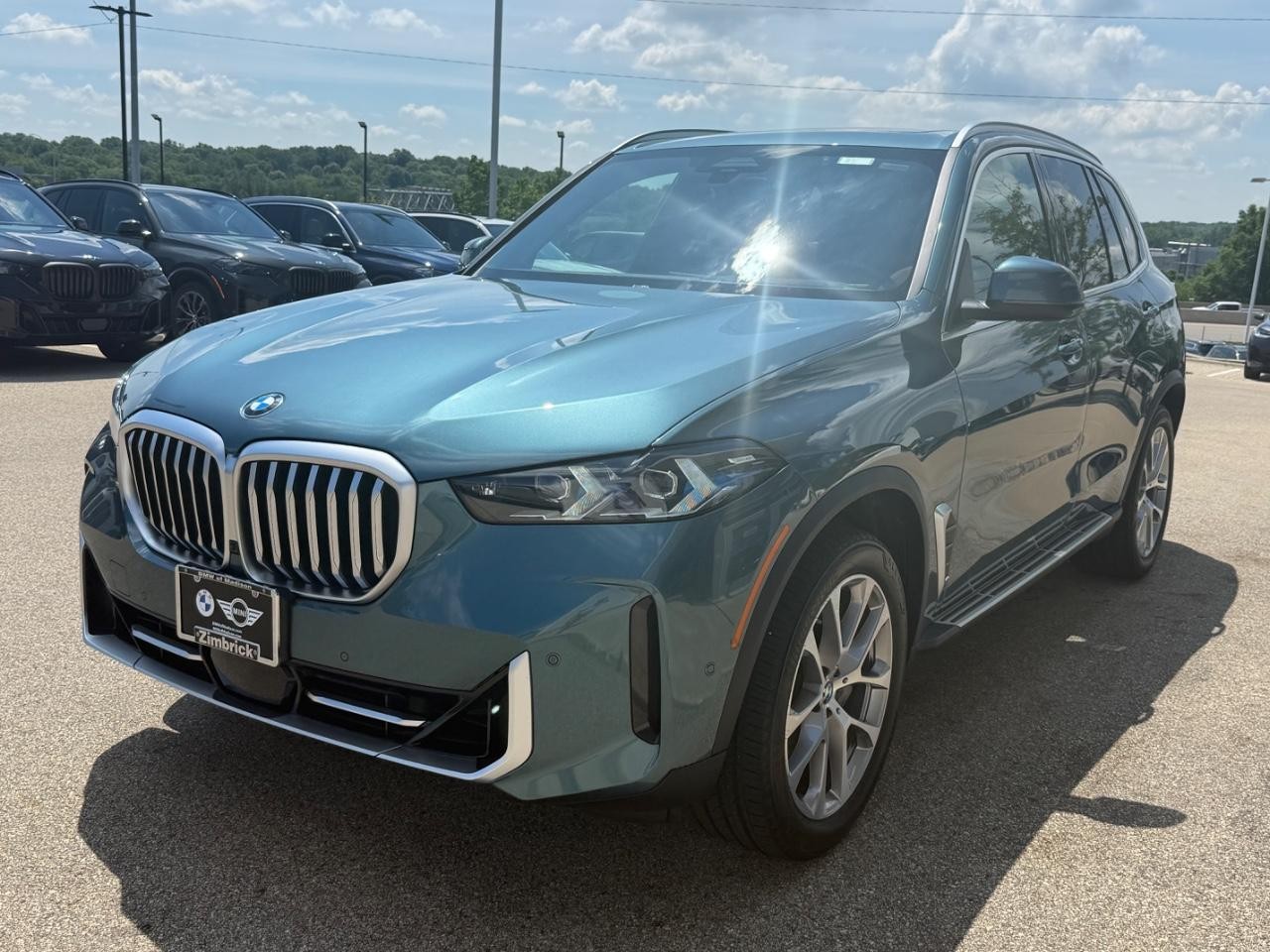 BMW X5 Vehicle Image 08