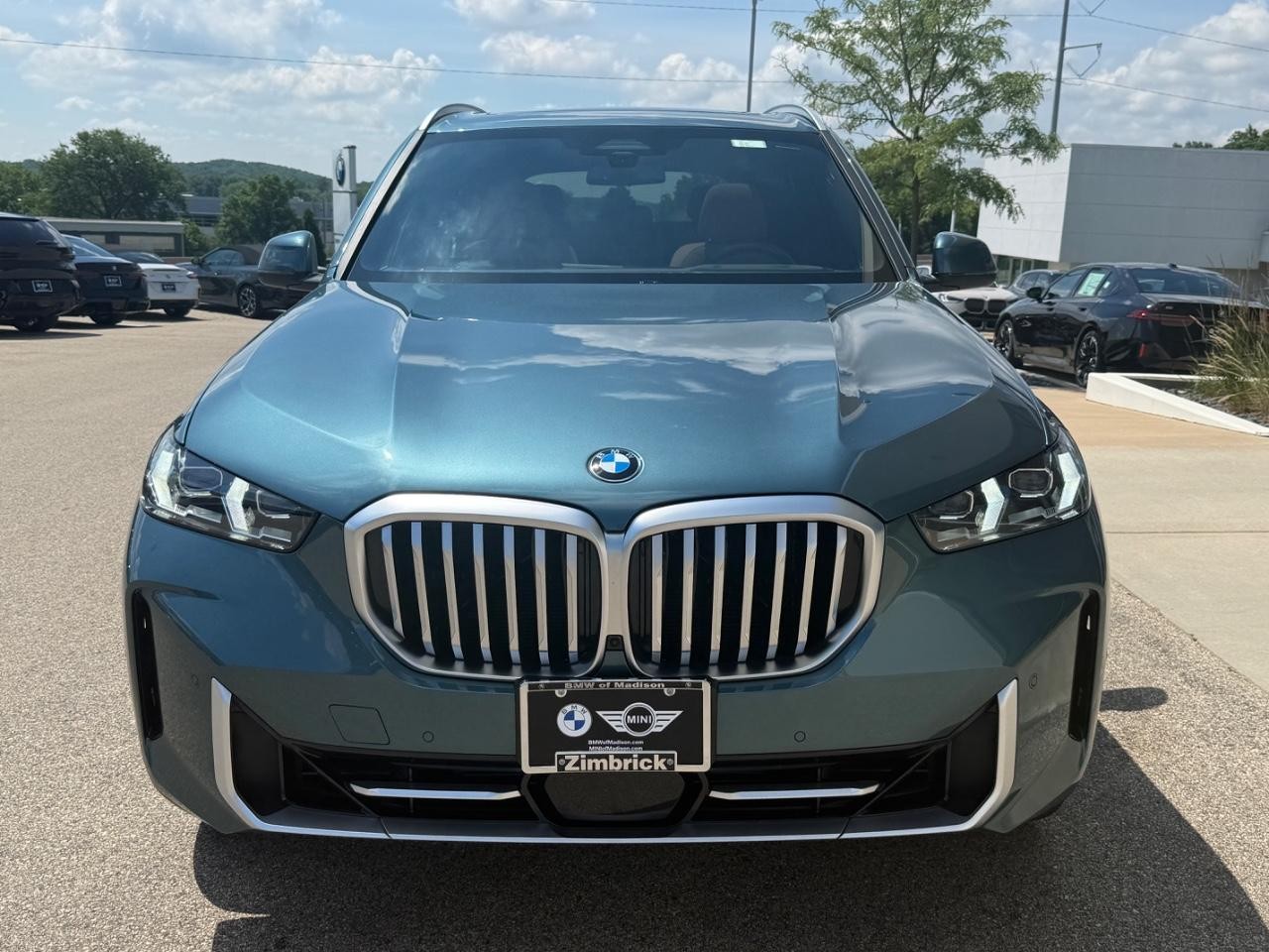 BMW X5 Vehicle Image 09