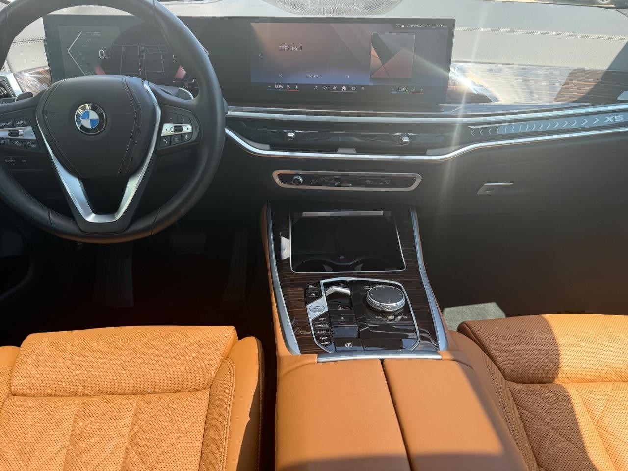 BMW X5 Vehicle Image 11