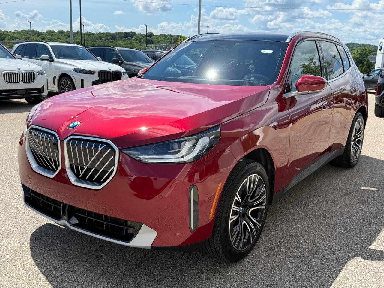 BMW X3 Vehicle Image 08