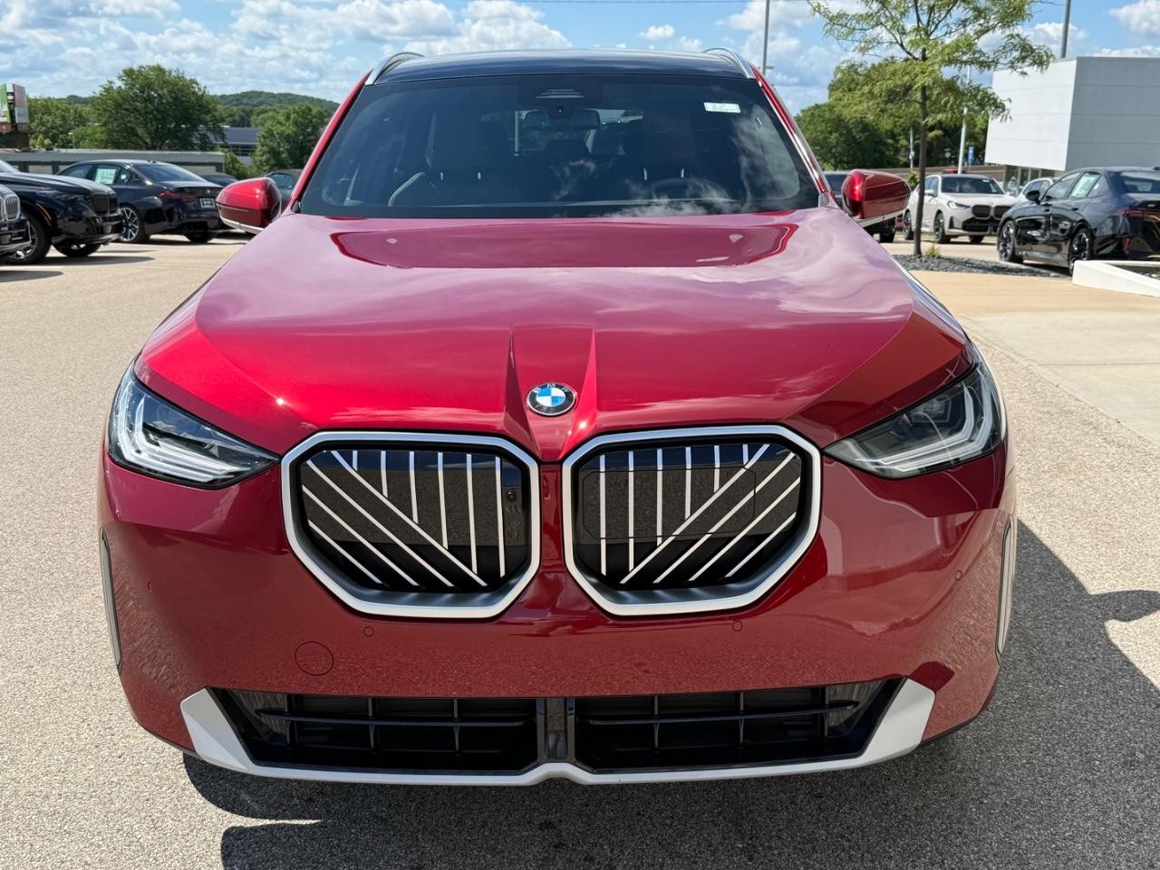 BMW X3 Vehicle Image 09