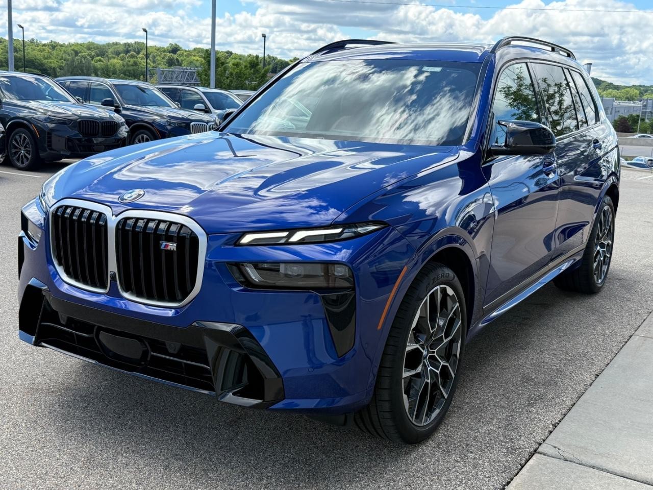BMW X7 Vehicle Image 08