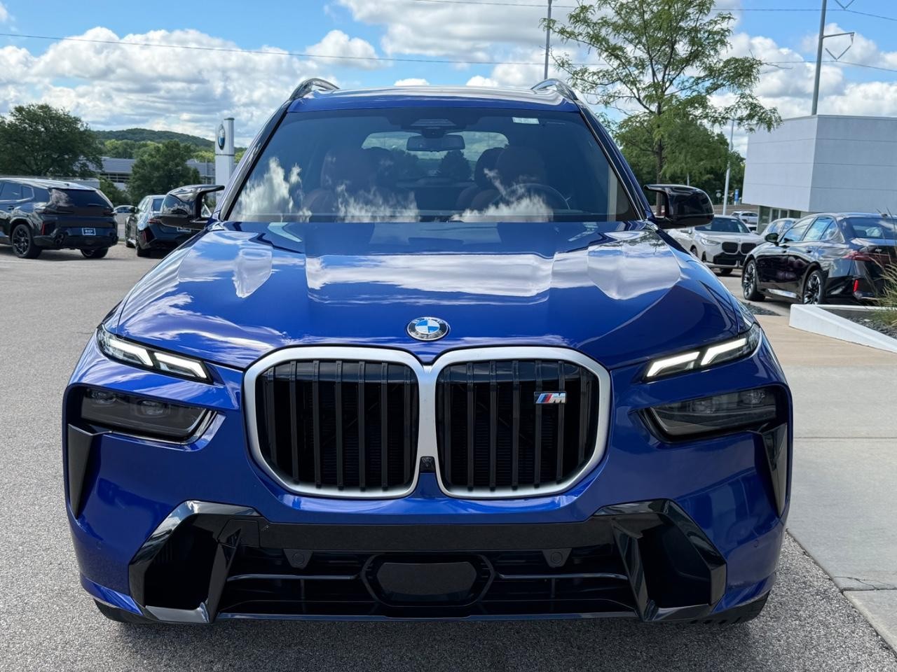 BMW X7 Vehicle Image 09