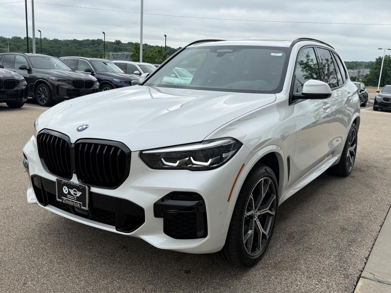 BMW X5 Vehicle Image 08