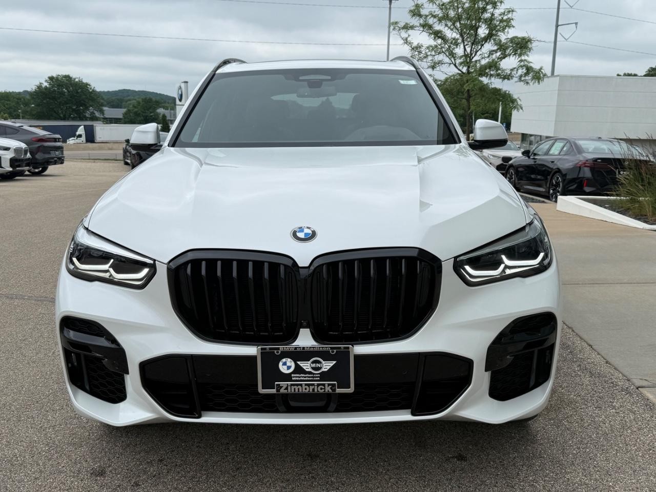BMW X5 Vehicle Image 09