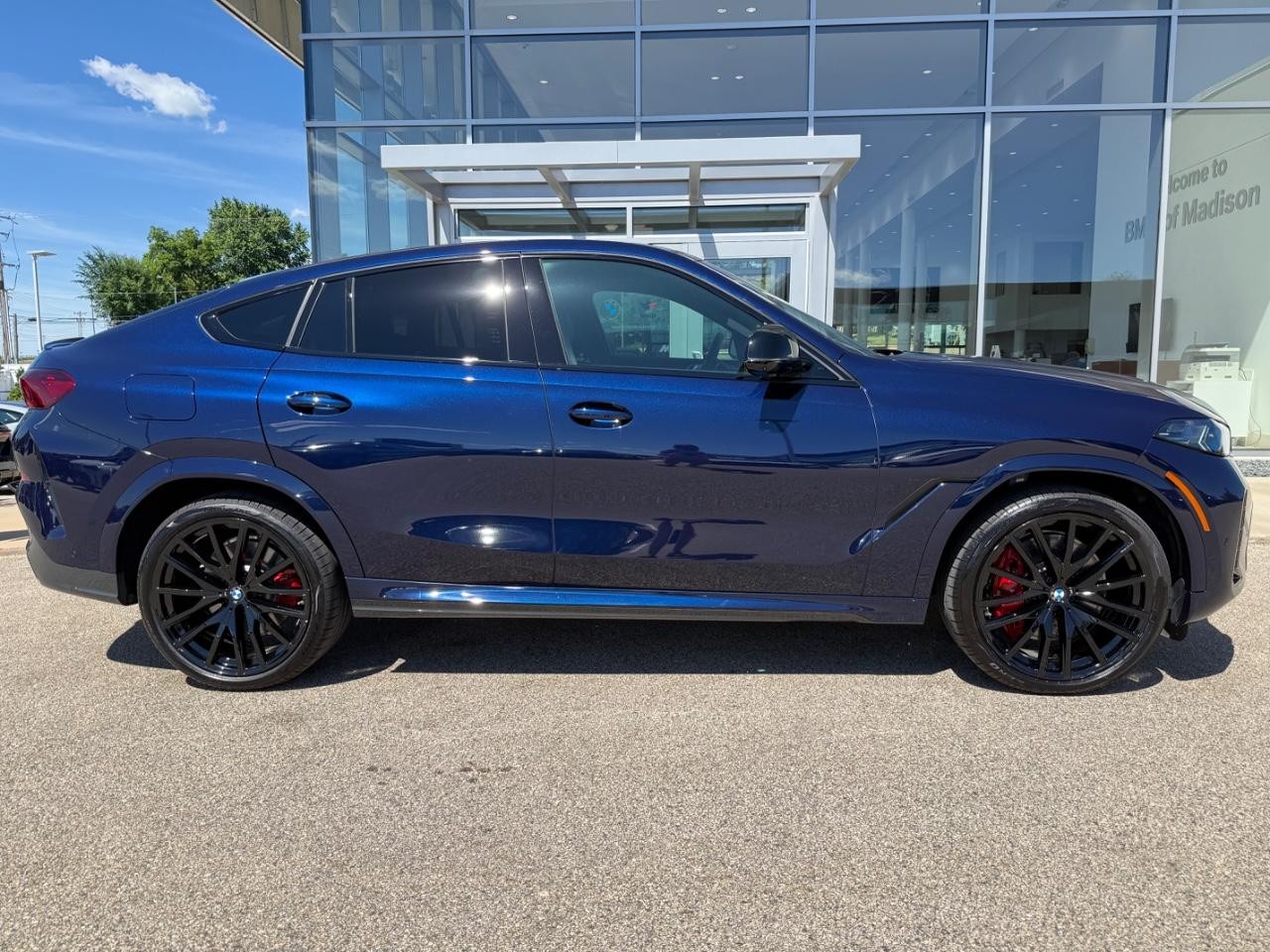 BMW X6 Vehicle Image 02