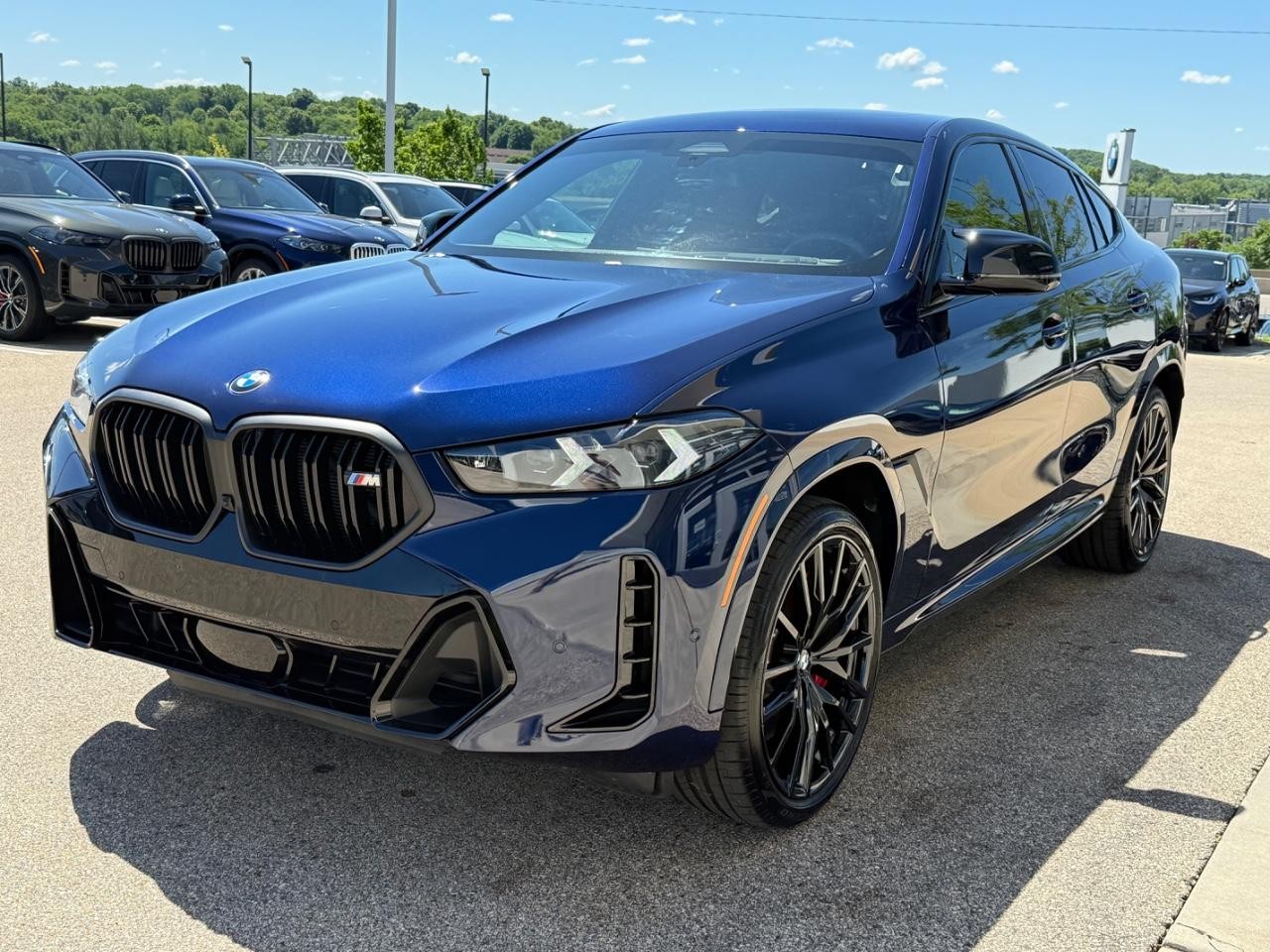 BMW X6 Vehicle Image 08