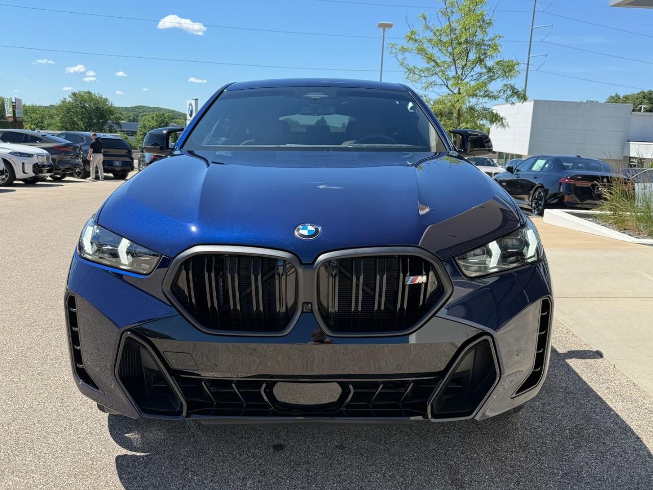 BMW X6 Vehicle Image 09