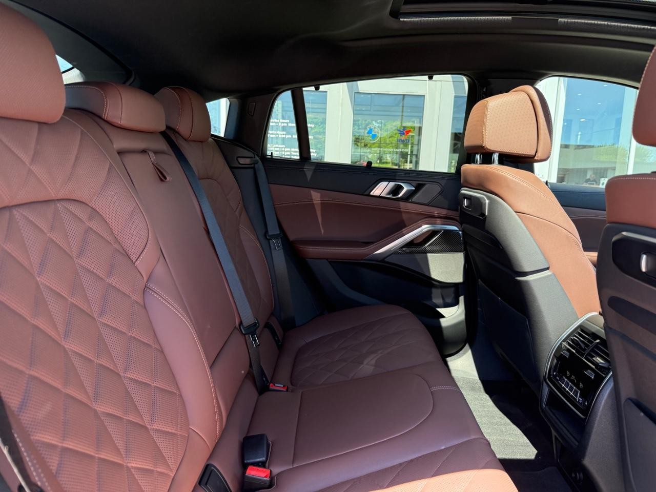 BMW X6 Vehicle Image 10