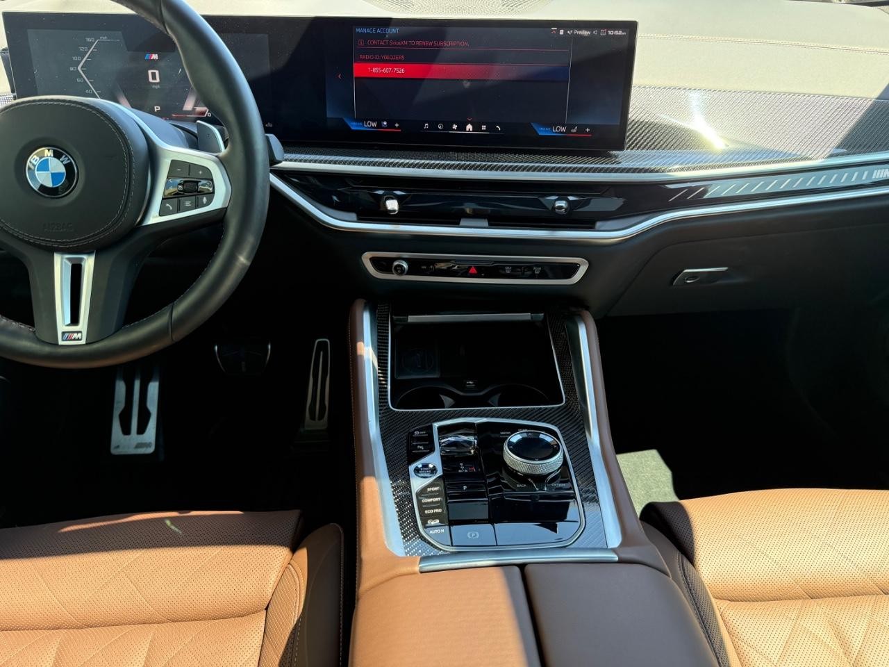BMW X6 Vehicle Image 11