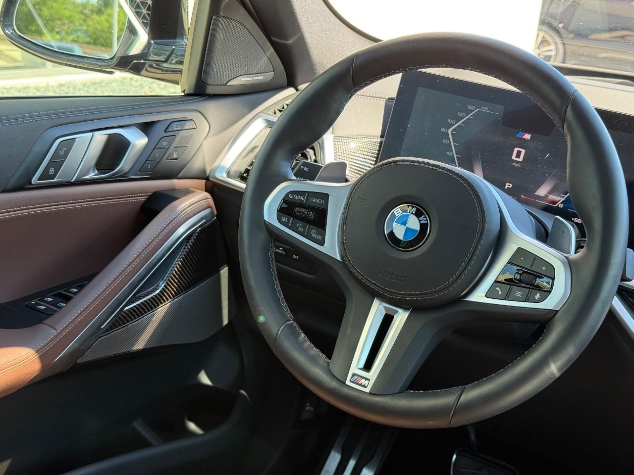 BMW X6 Vehicle Image 14