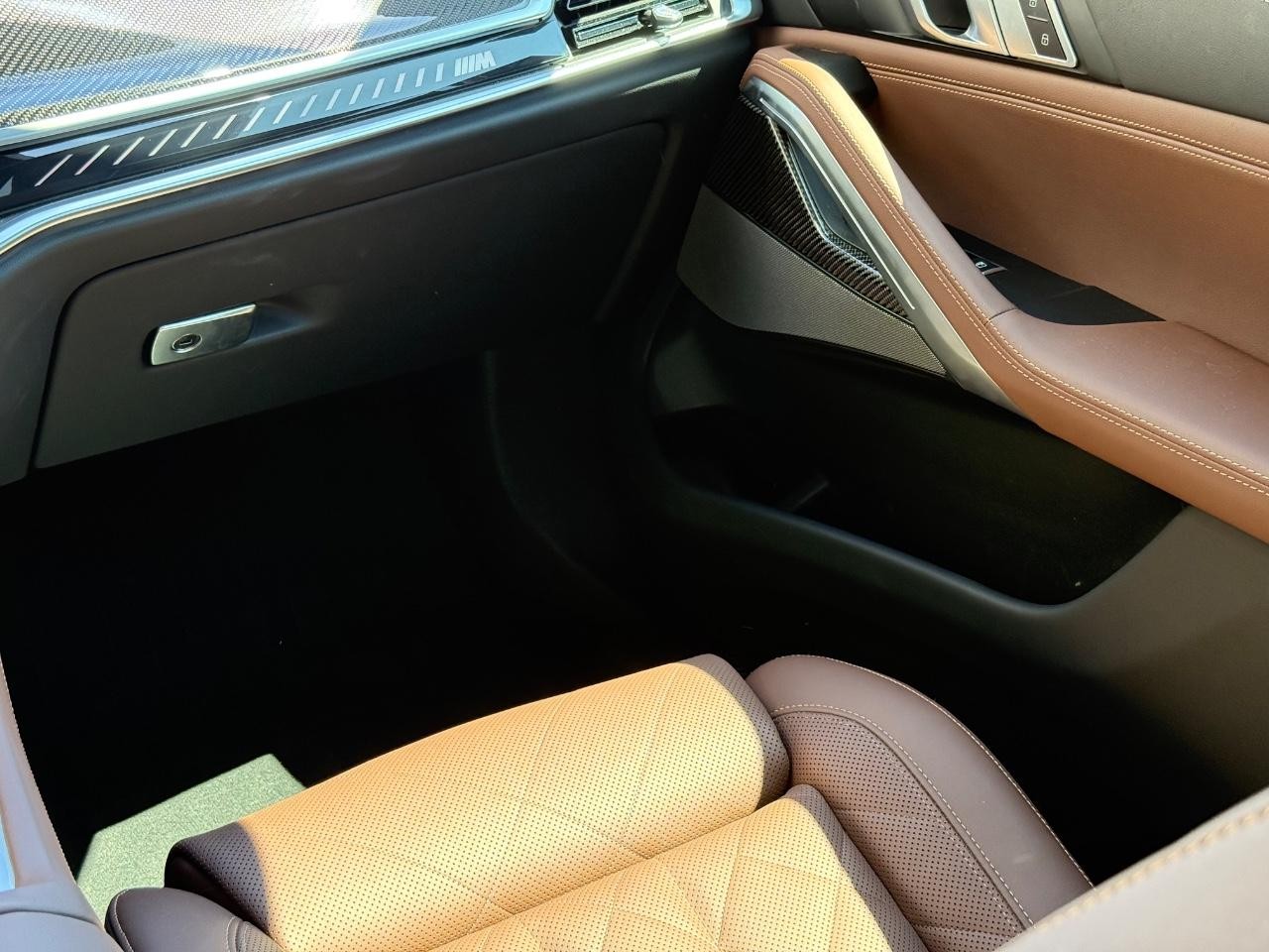 BMW X6 Vehicle Image 15