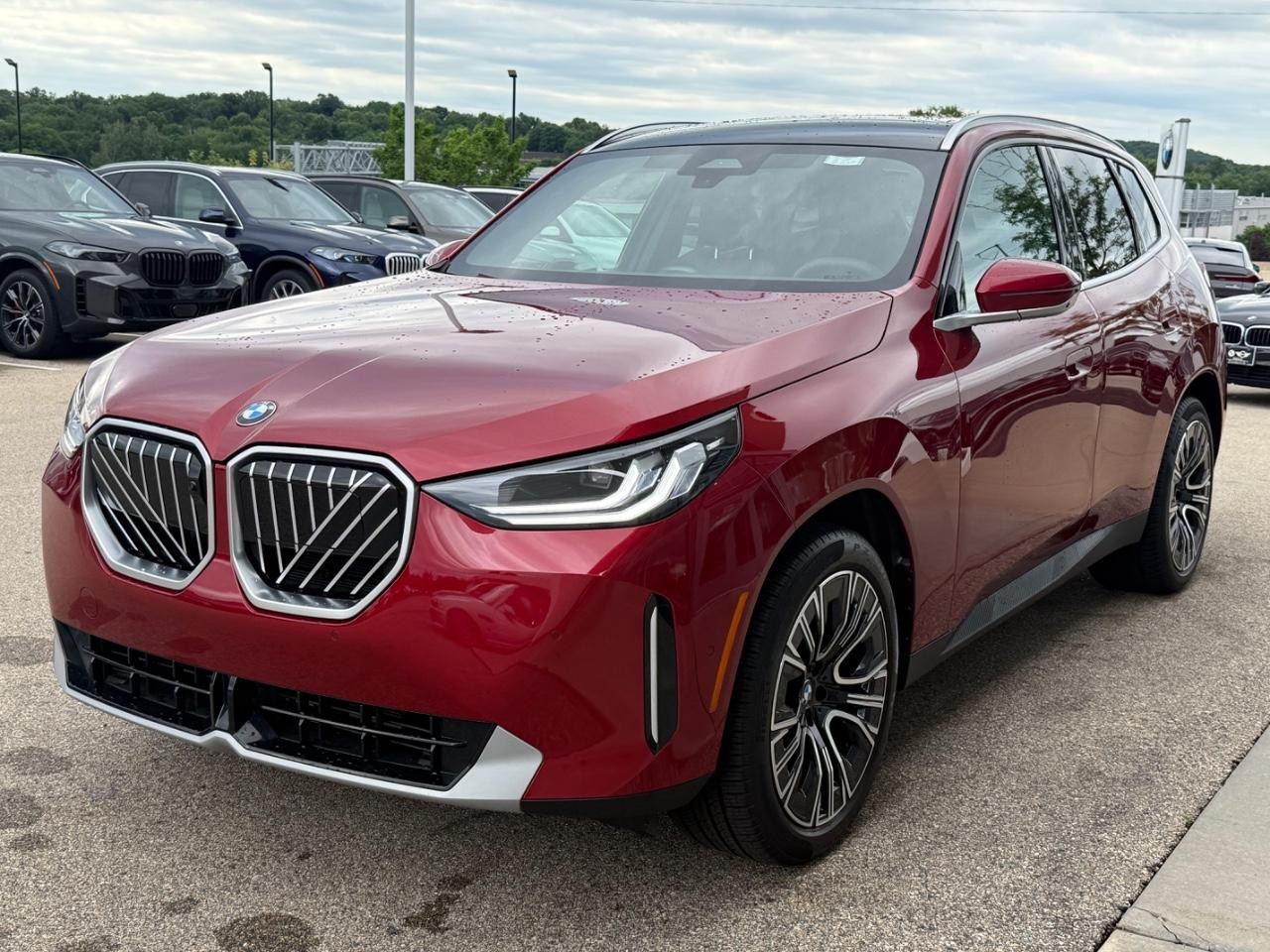 BMW X3 Vehicle Image 08