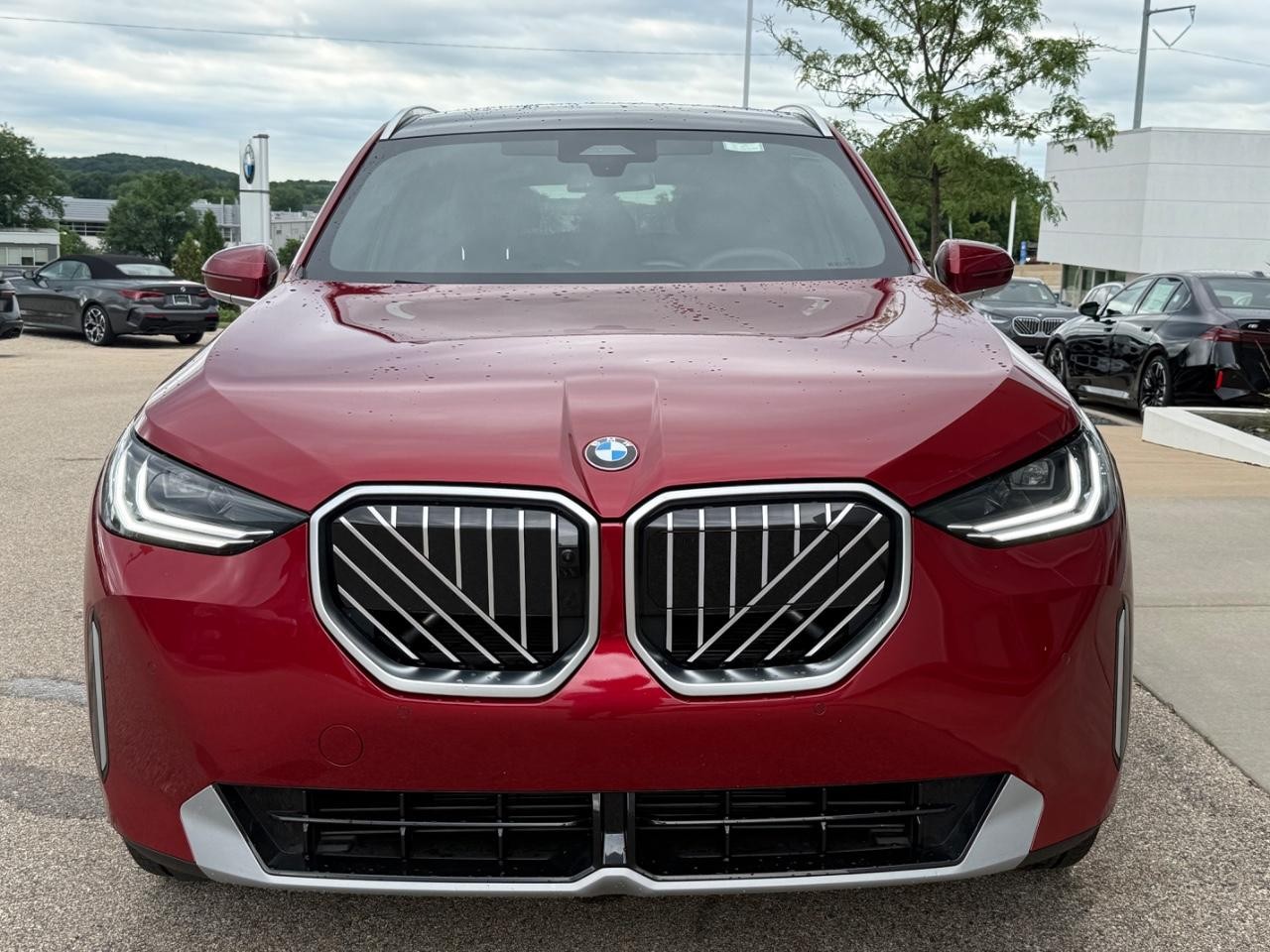 BMW X3 Vehicle Image 09