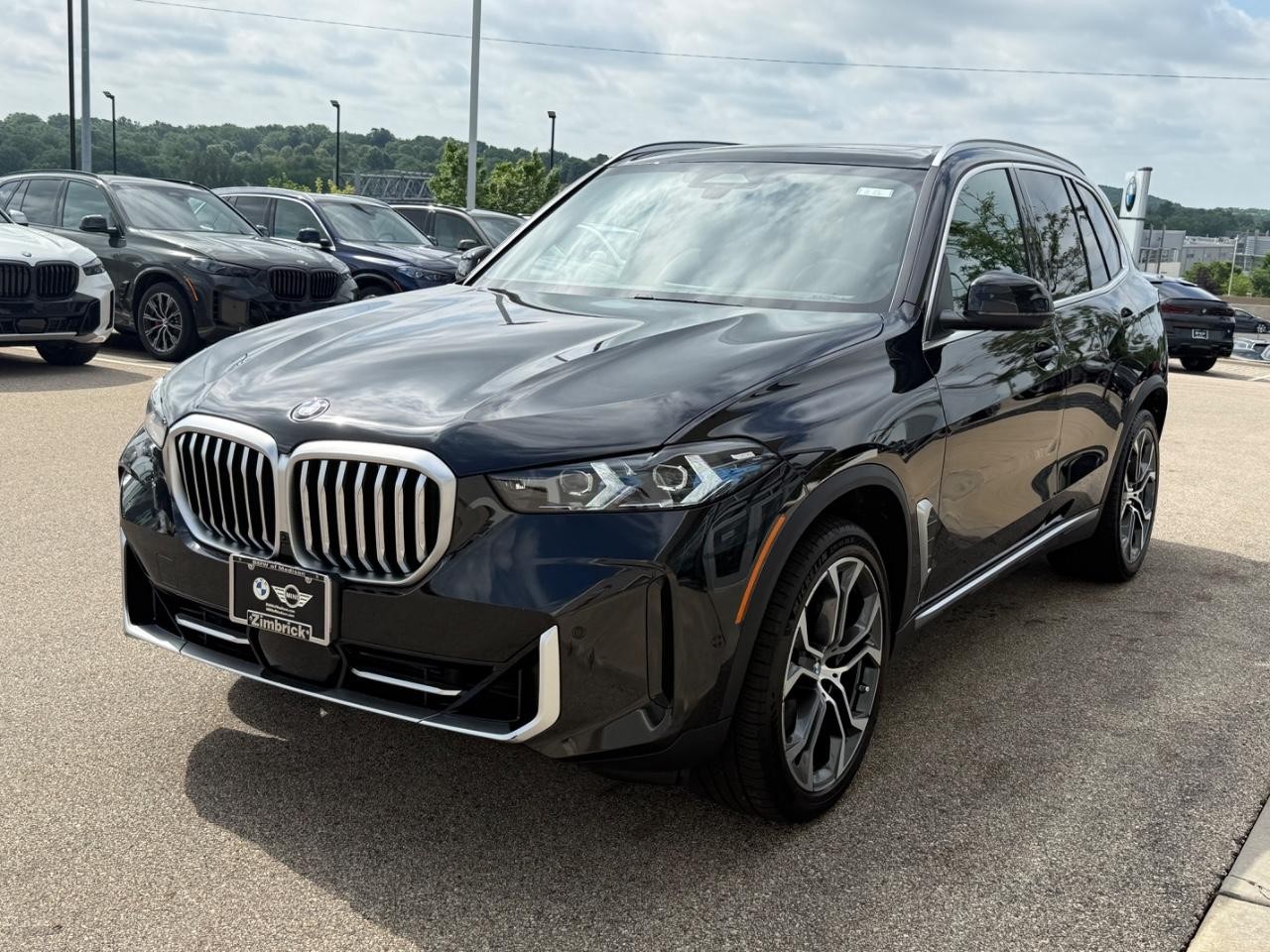 BMW X5 Vehicle Image 08