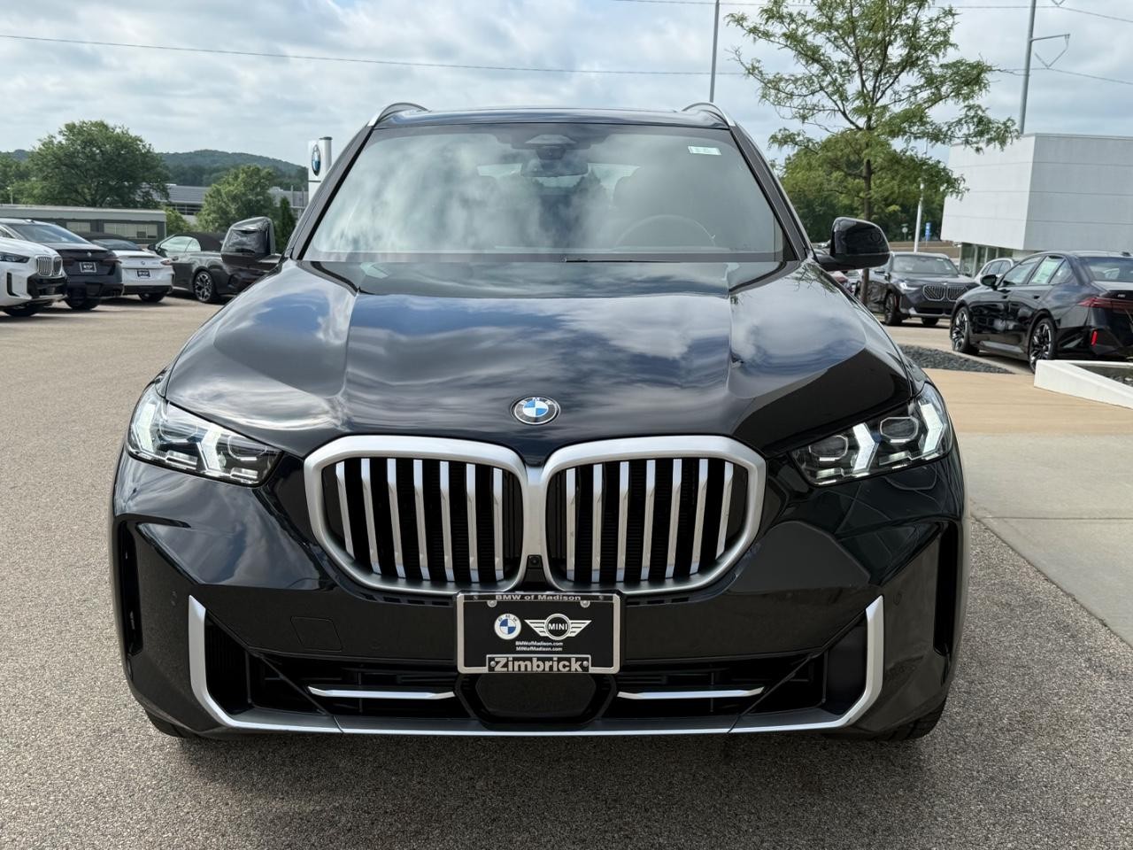 BMW X5 Vehicle Image 09