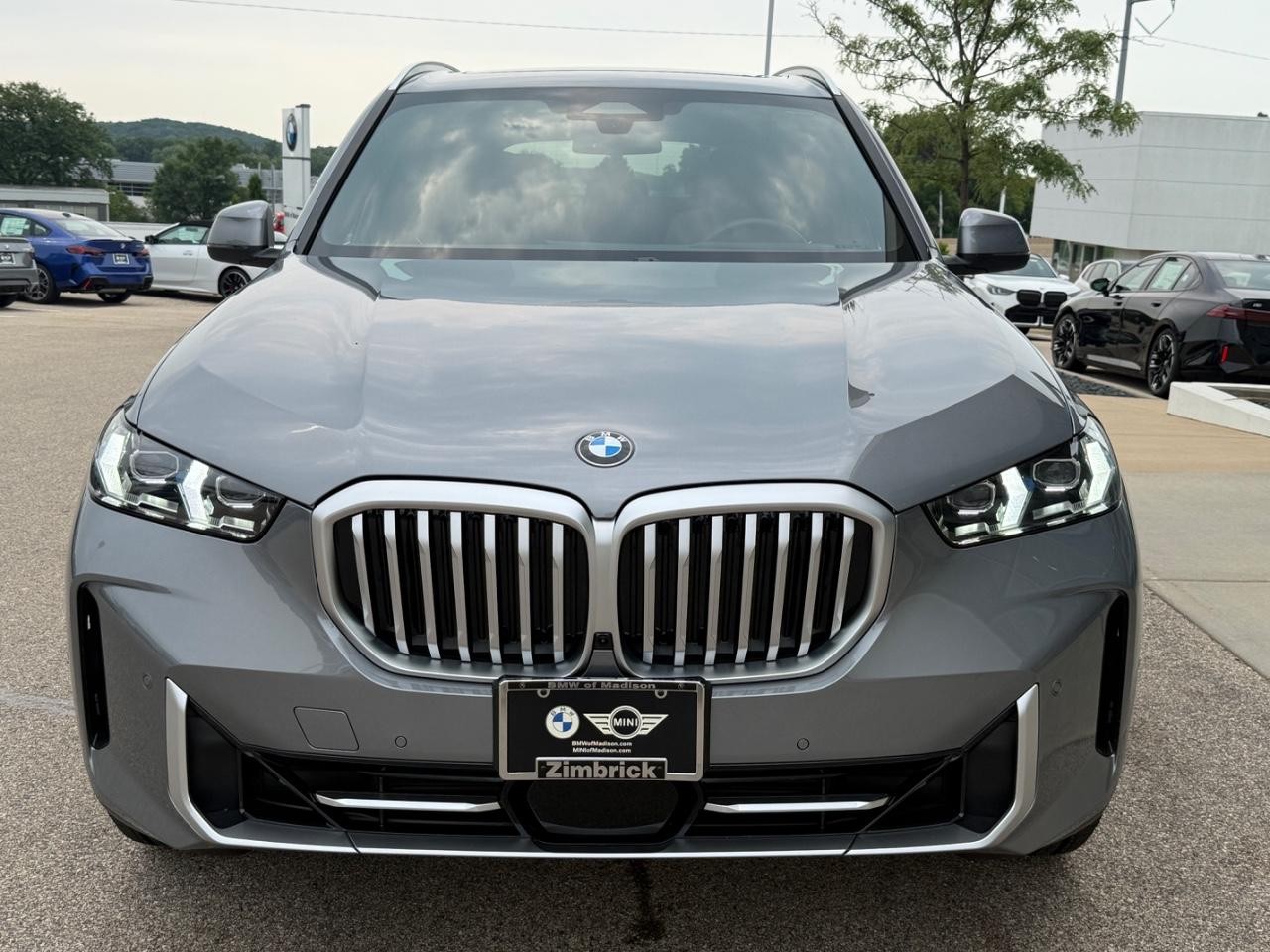 BMW X5 Vehicle Image 09