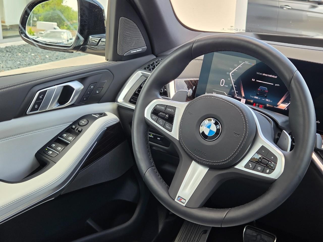 BMW X5 Vehicle Image 14