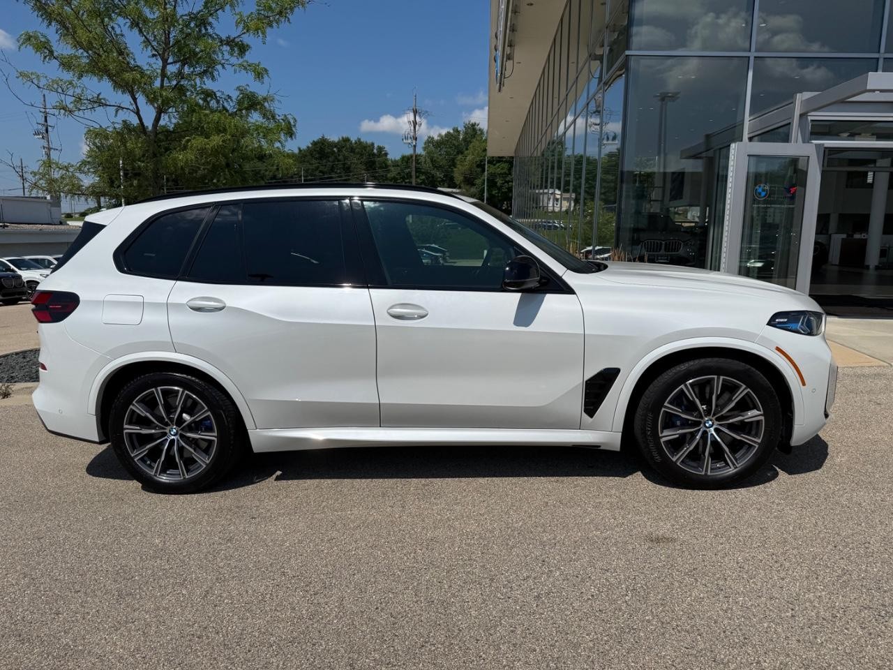 BMW X5 Vehicle Image 02