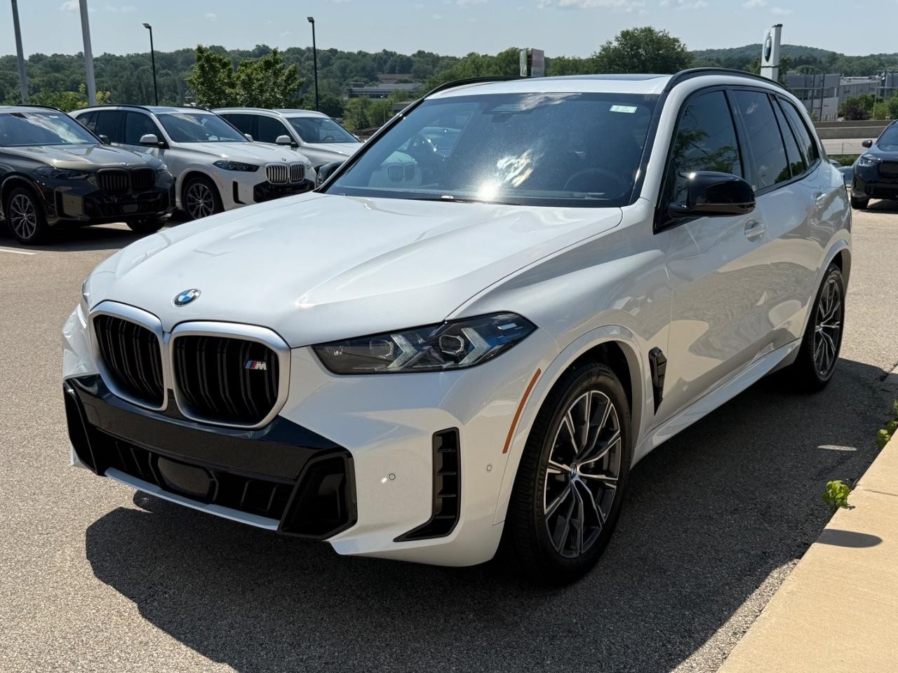 BMW X5 Vehicle Image 08