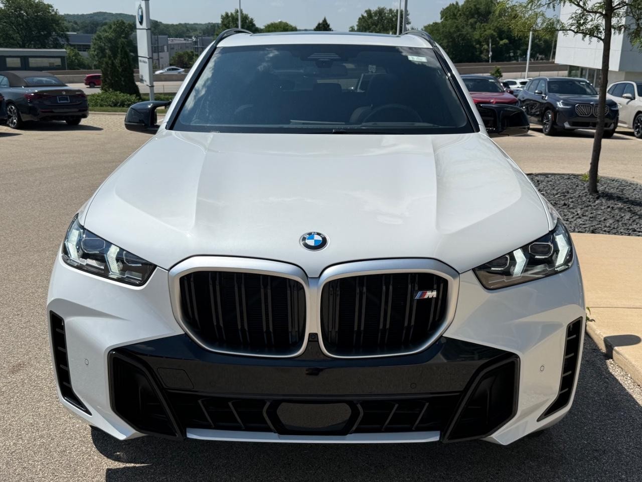 BMW X5 Vehicle Image 09