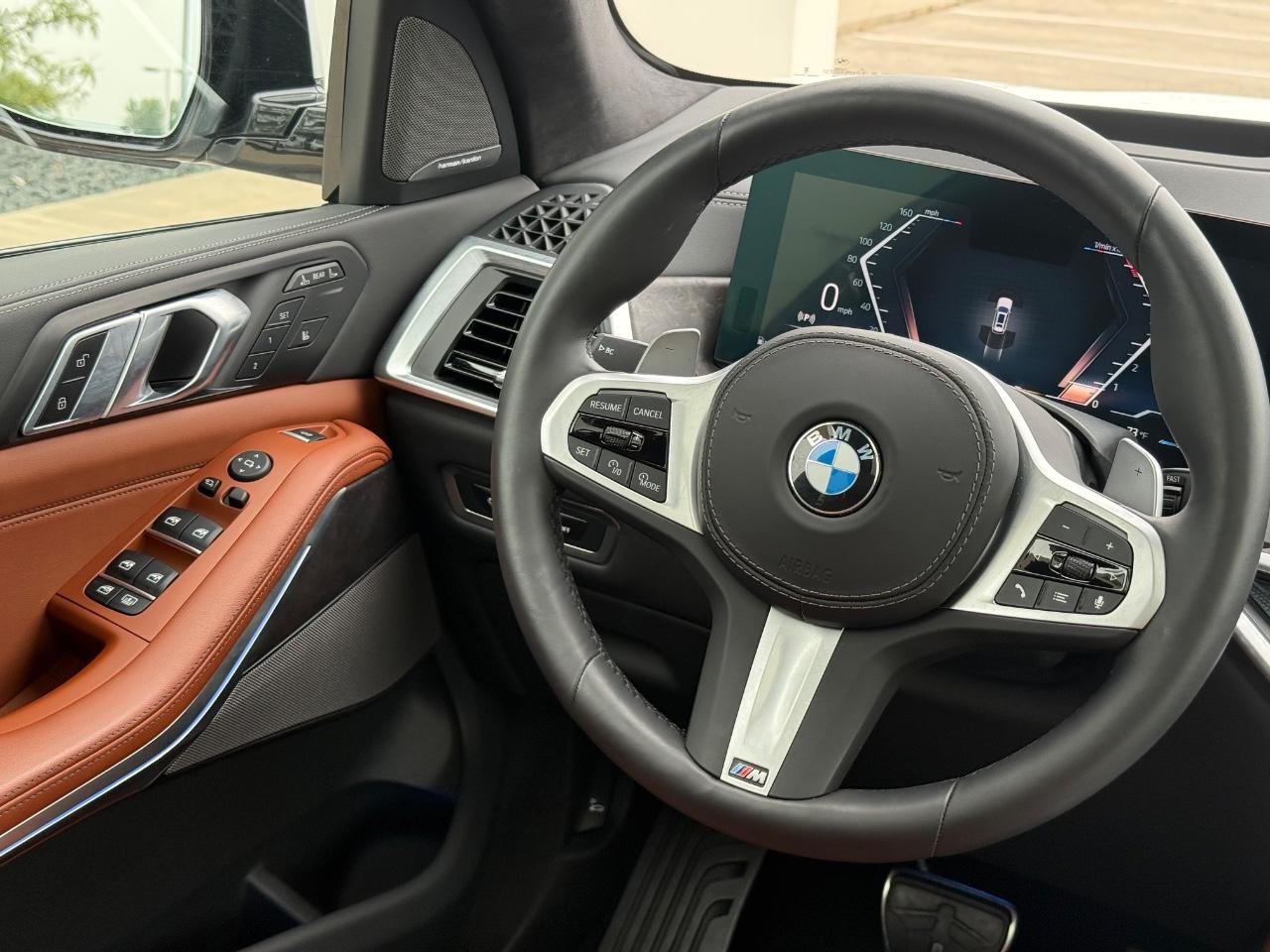 BMW X7 Vehicle Image 12