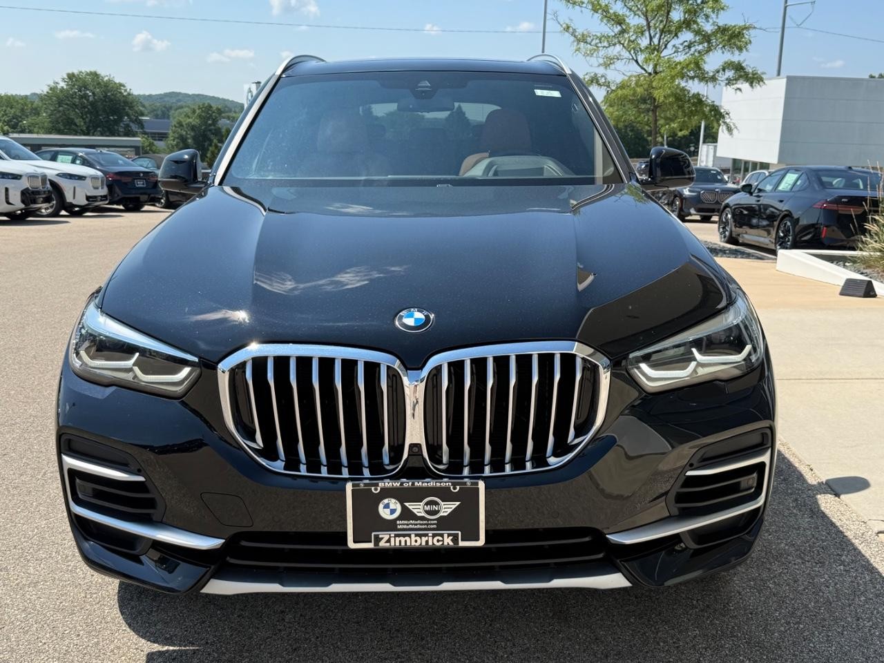 BMW X5 Vehicle Image 09