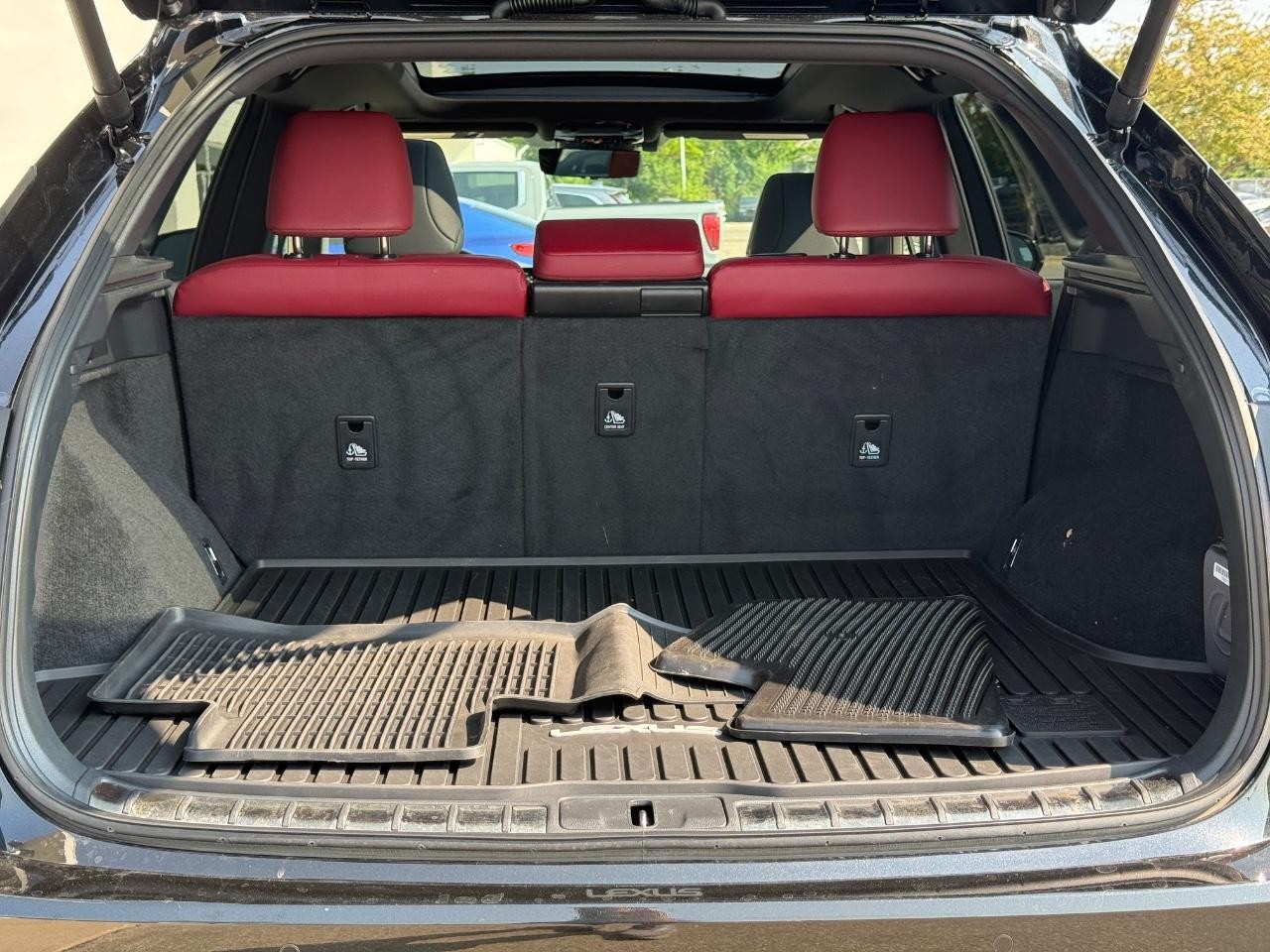 Lexus RX Vehicle Image 06